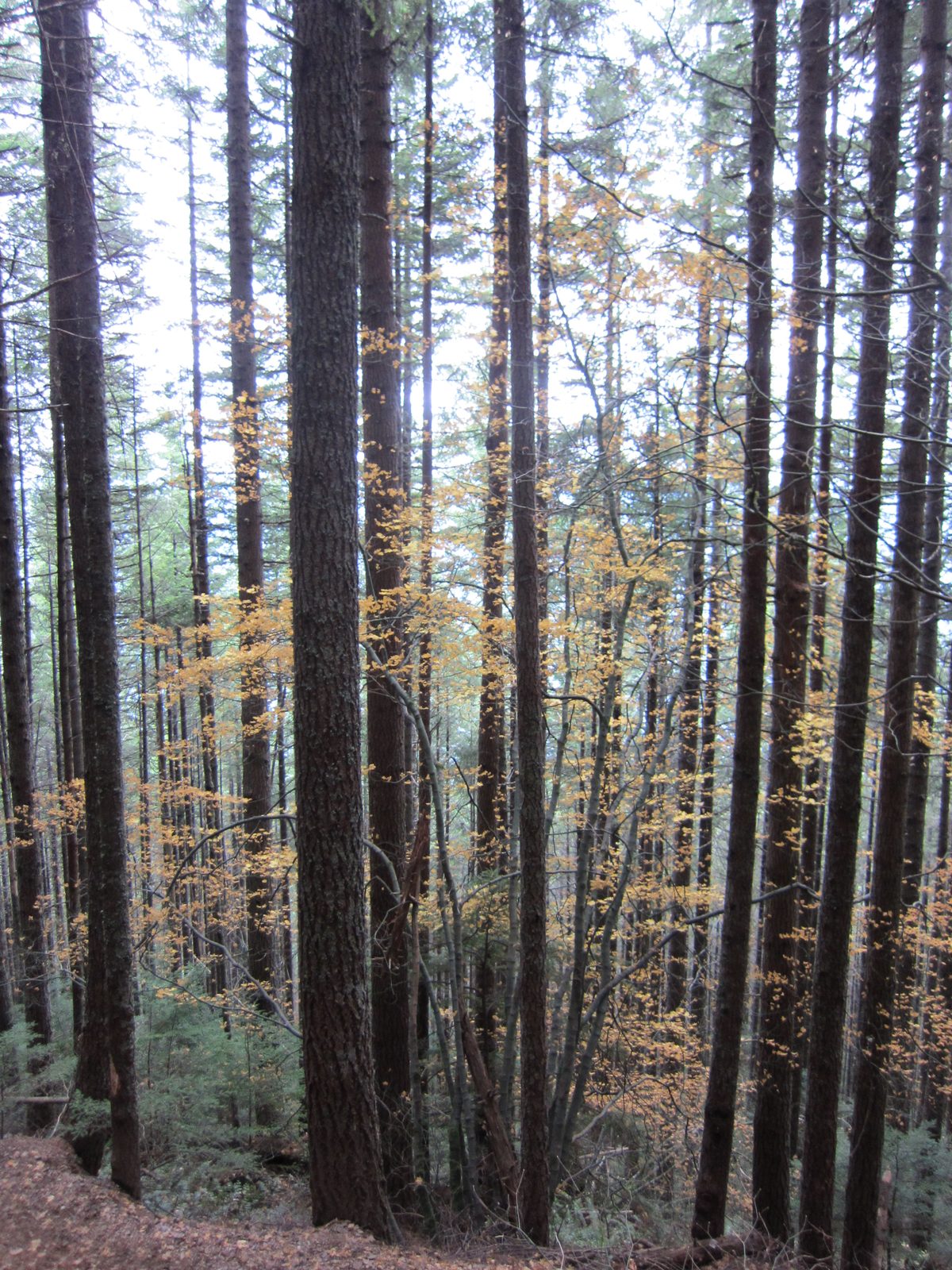 It was sometimes pretty, but got boring.