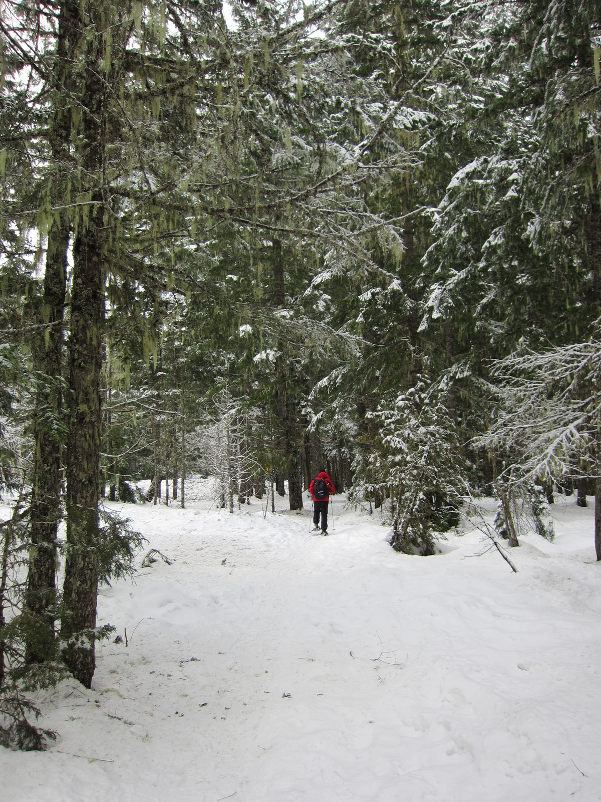 Neither Jeremiah nor I had snowshoed before, but it was pretty easy to pick up.