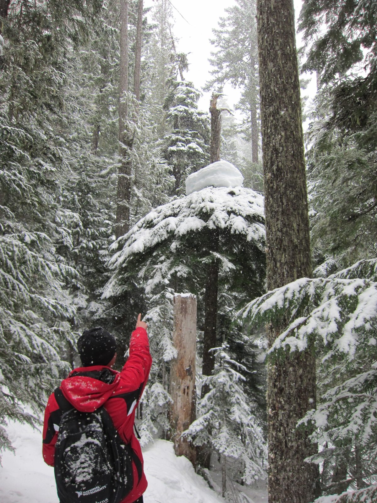 I still have no idea what was going on here.  There was a huge block of snow directly on top of...