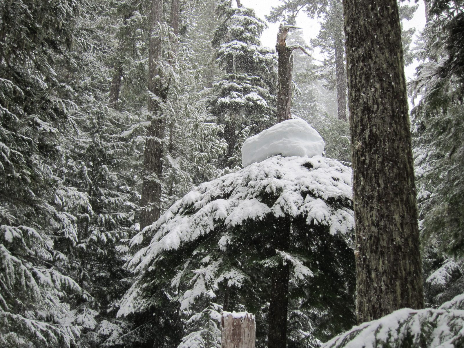AND, we had to walk directly underneath it.  Fortunately, it stayed up there.