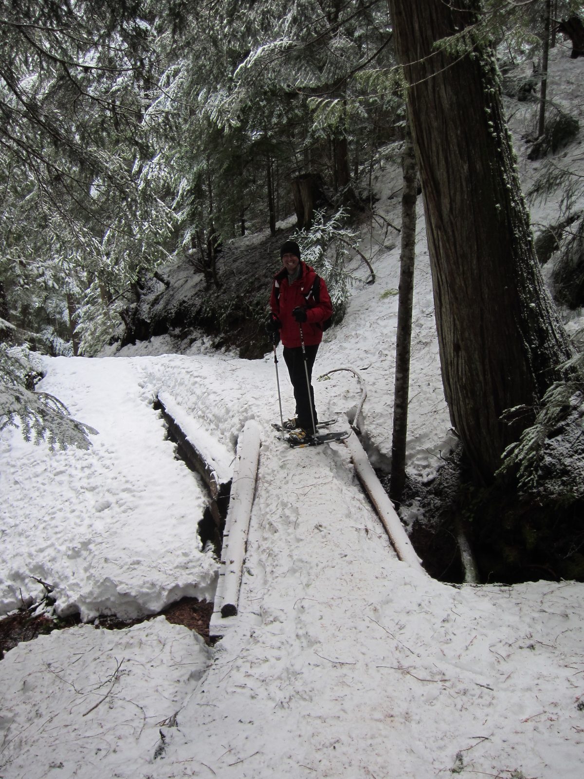 I think at least one of us took a picture of every bridge on the trail.