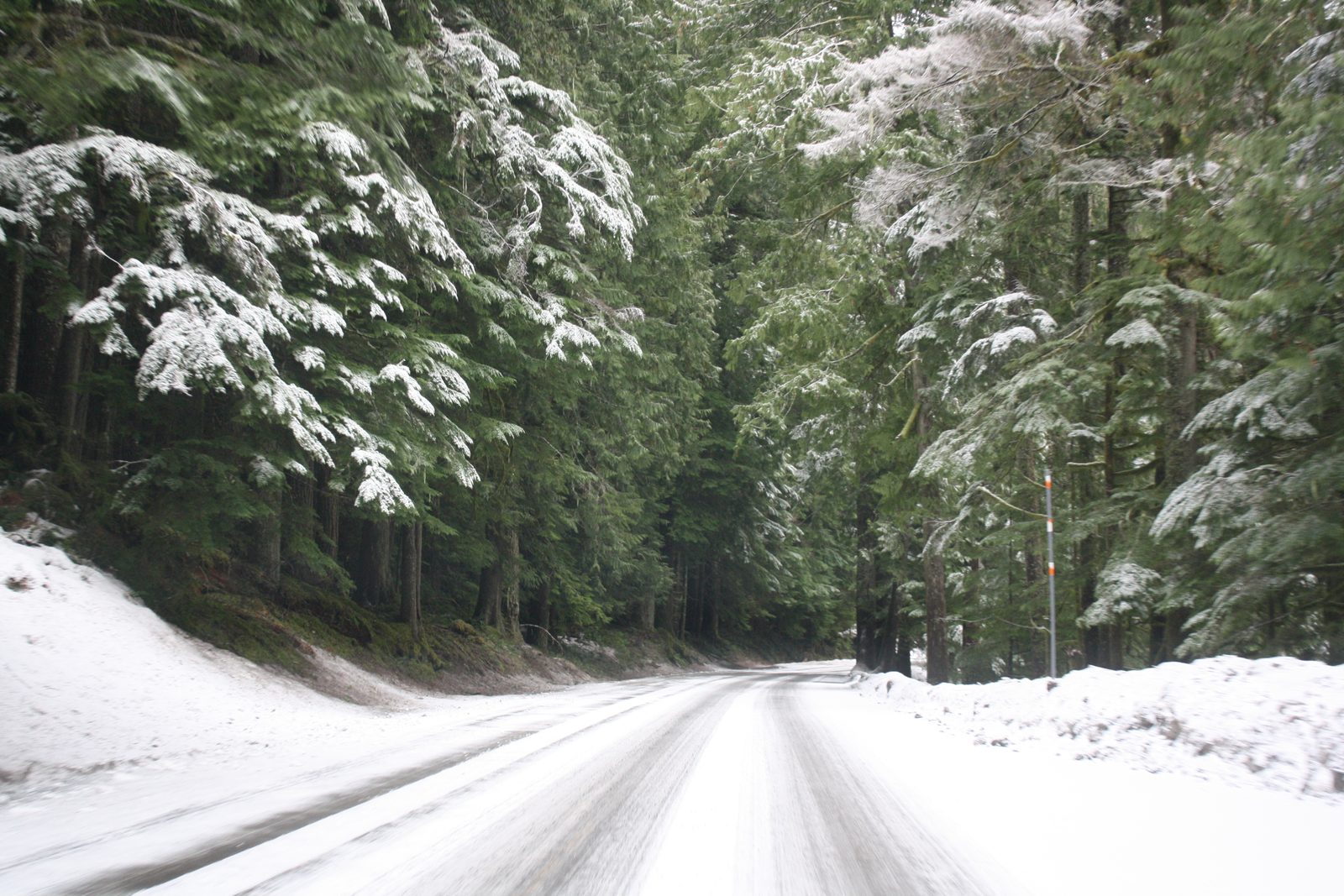 The road to Rainier!  Li'l Blue managed to get through all this without issue.