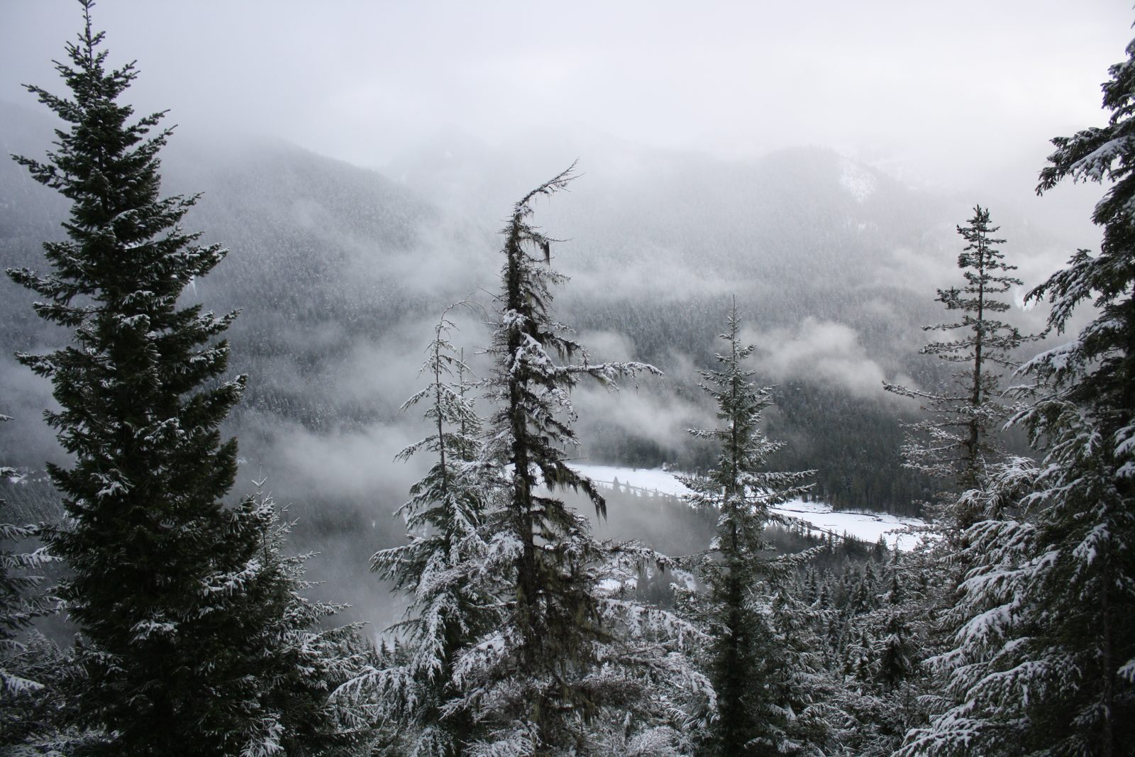 Looking down on Longmire.