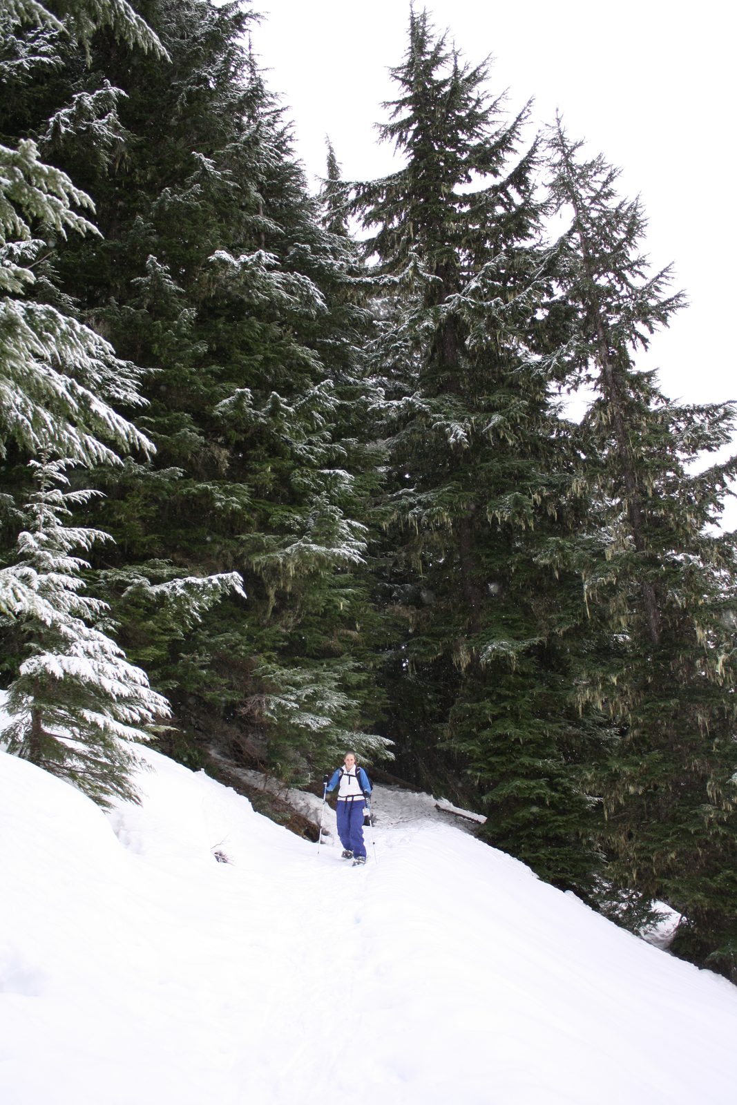 Continuing to hike.