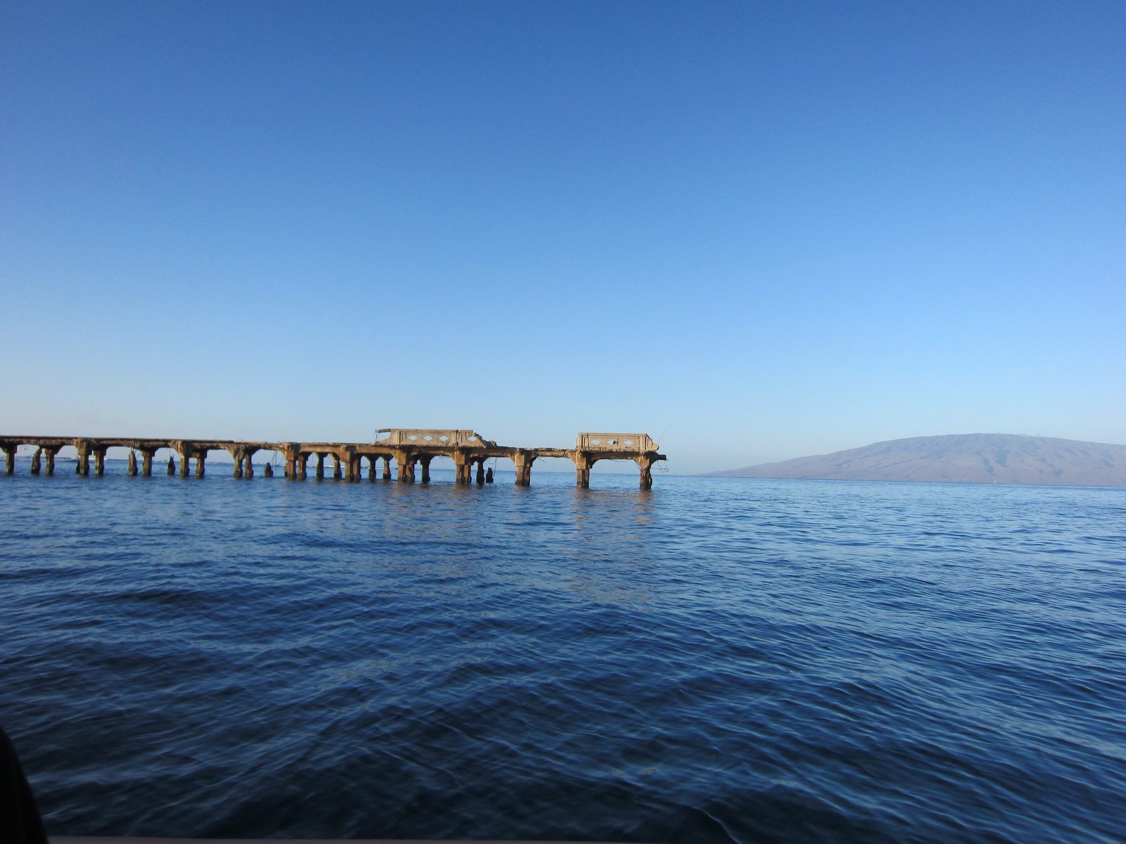 Headed out to sea with Captain Steve's whale watching tour!  Unfortunately, Captain Steve was...