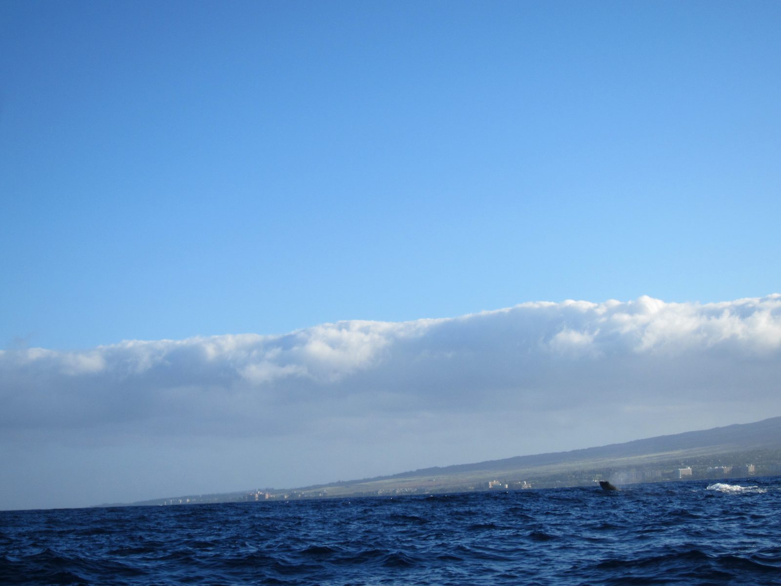 Not the clearest shot, but this is a whale breaching.
