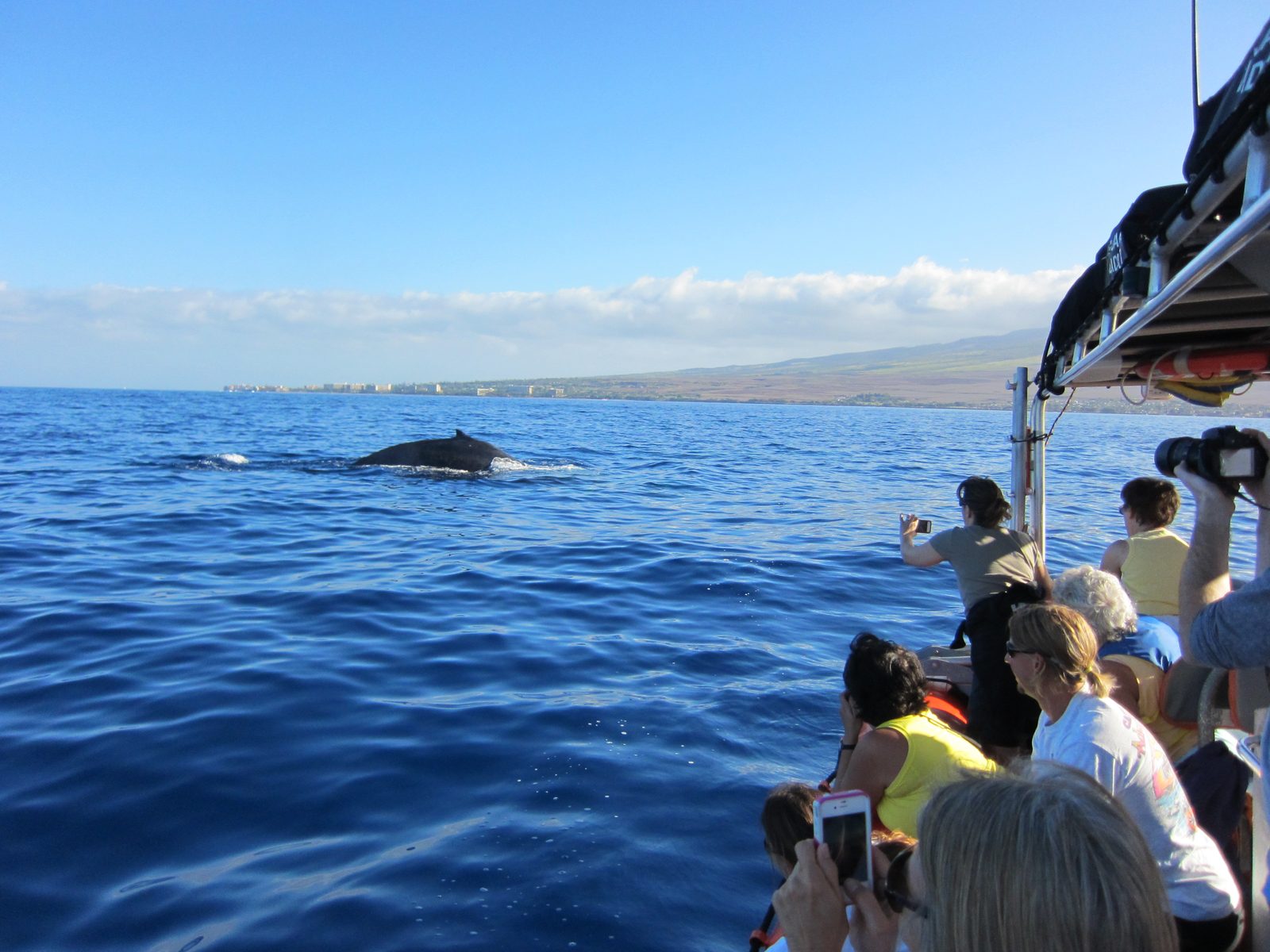 A bit of the madness on the boat, and proof of how close we were.  I spent a lot of time just...