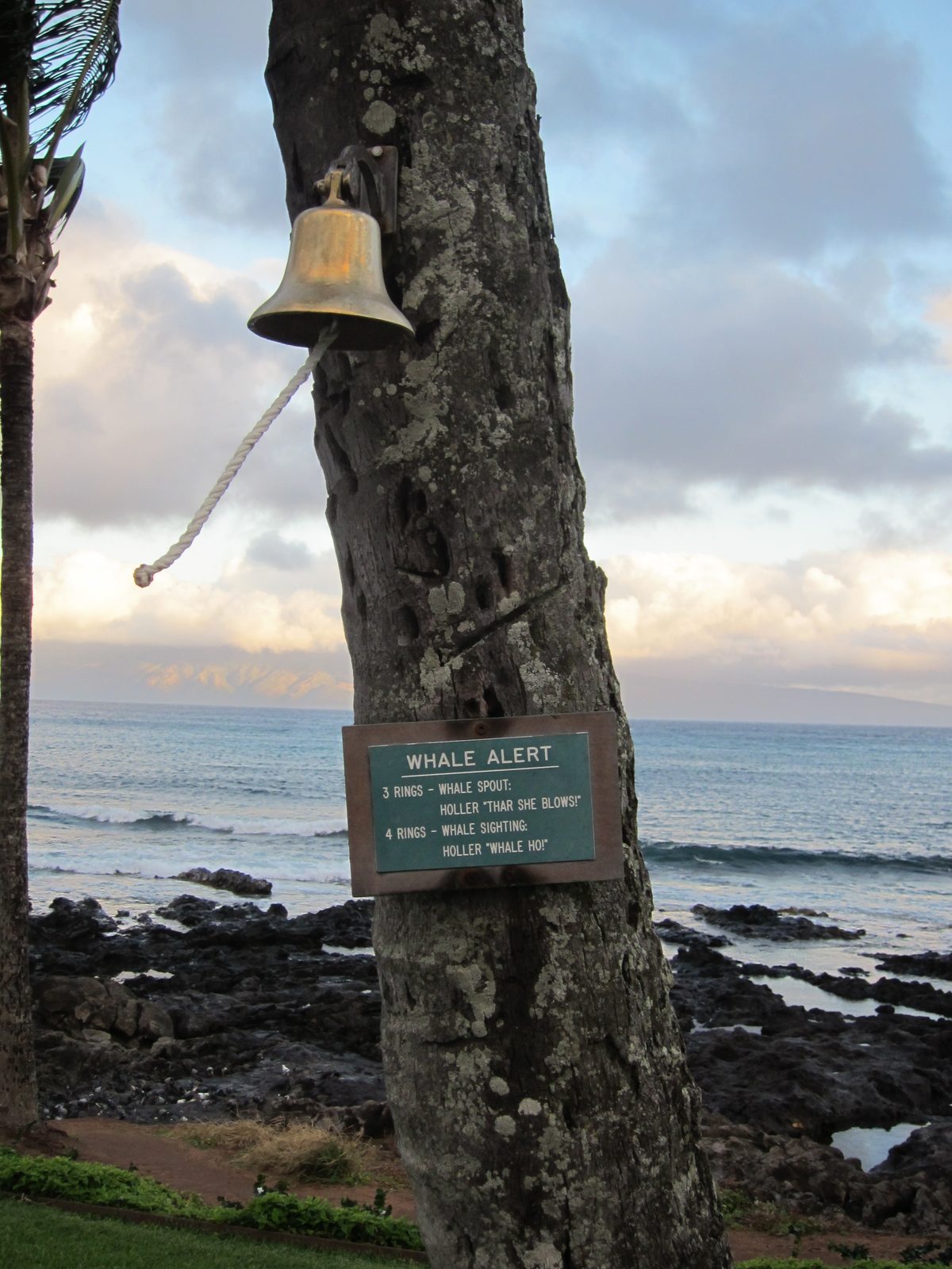 Near our breakfast spot, there was a whale observation bell.  The only problem is that you could...