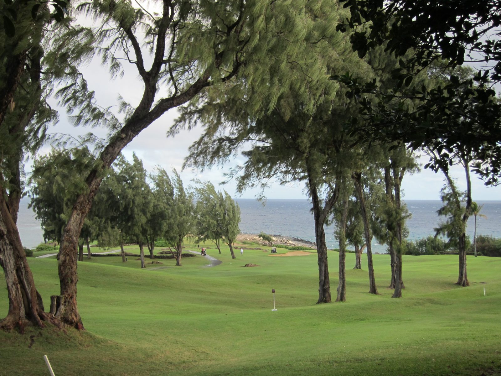Looking at the greens of the Plantation Course at the Kapalua Golf Club.  Each year, the PGA...