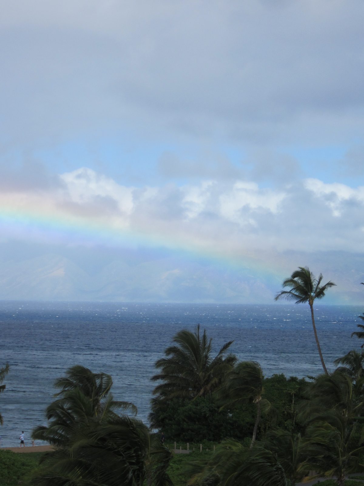 Another rainbow.  This photo is cropped weird to cut out a building on the right, but the result...