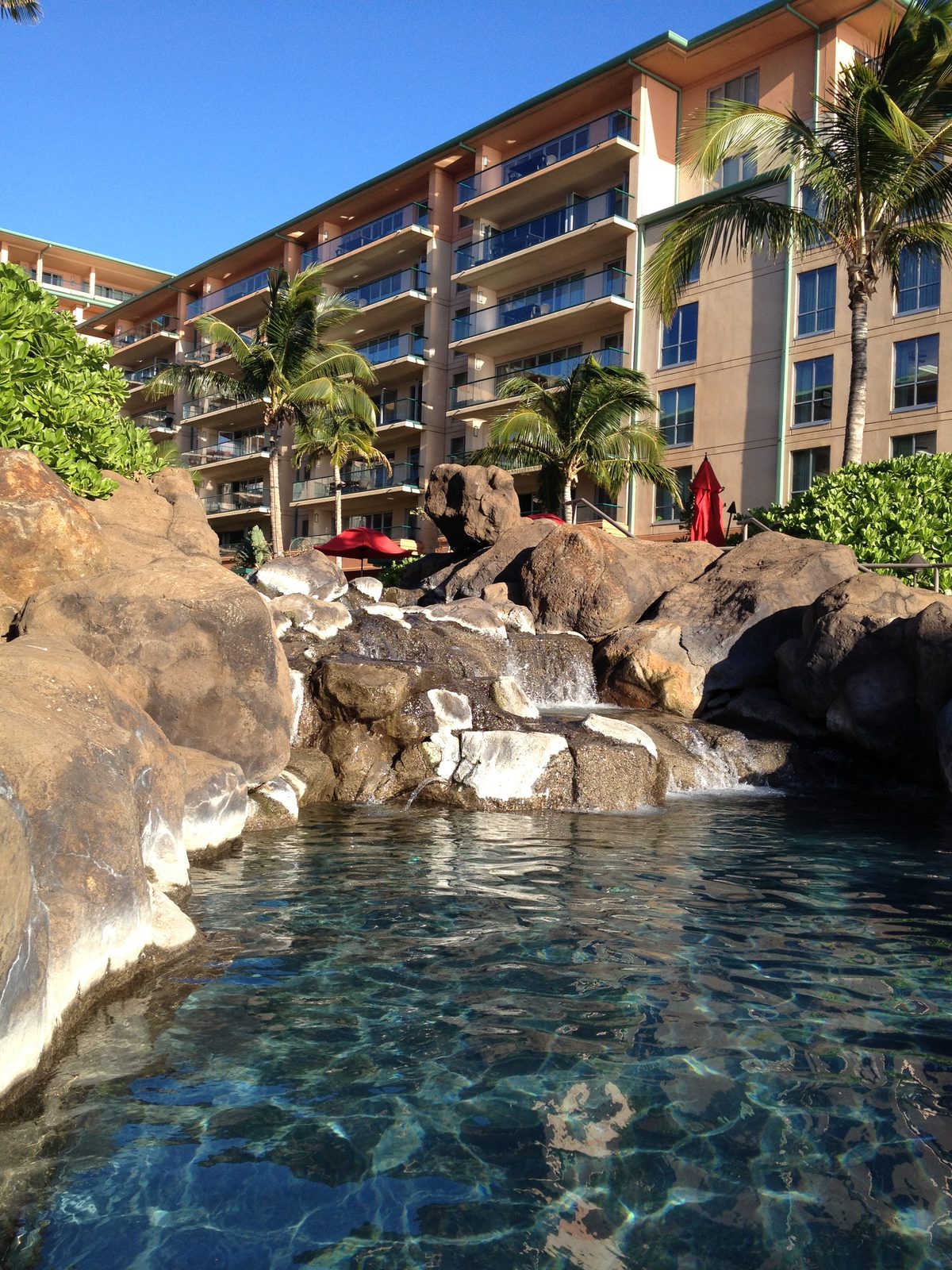 One of the water features in one of the pools at Bob and Lucie's condo (visible behind the waterfall).