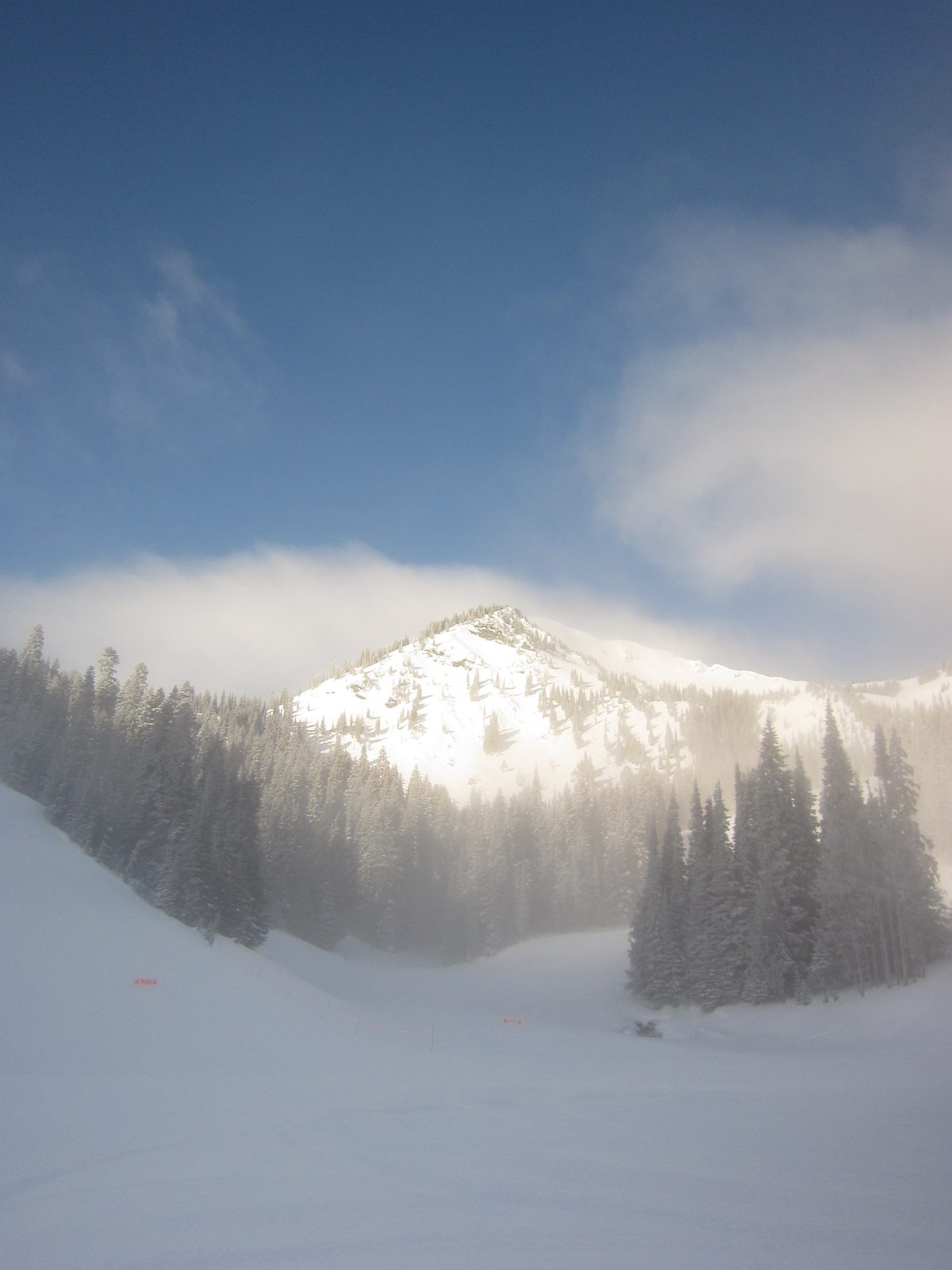 I think this was about as good as it got before the clouds settled in for the day.