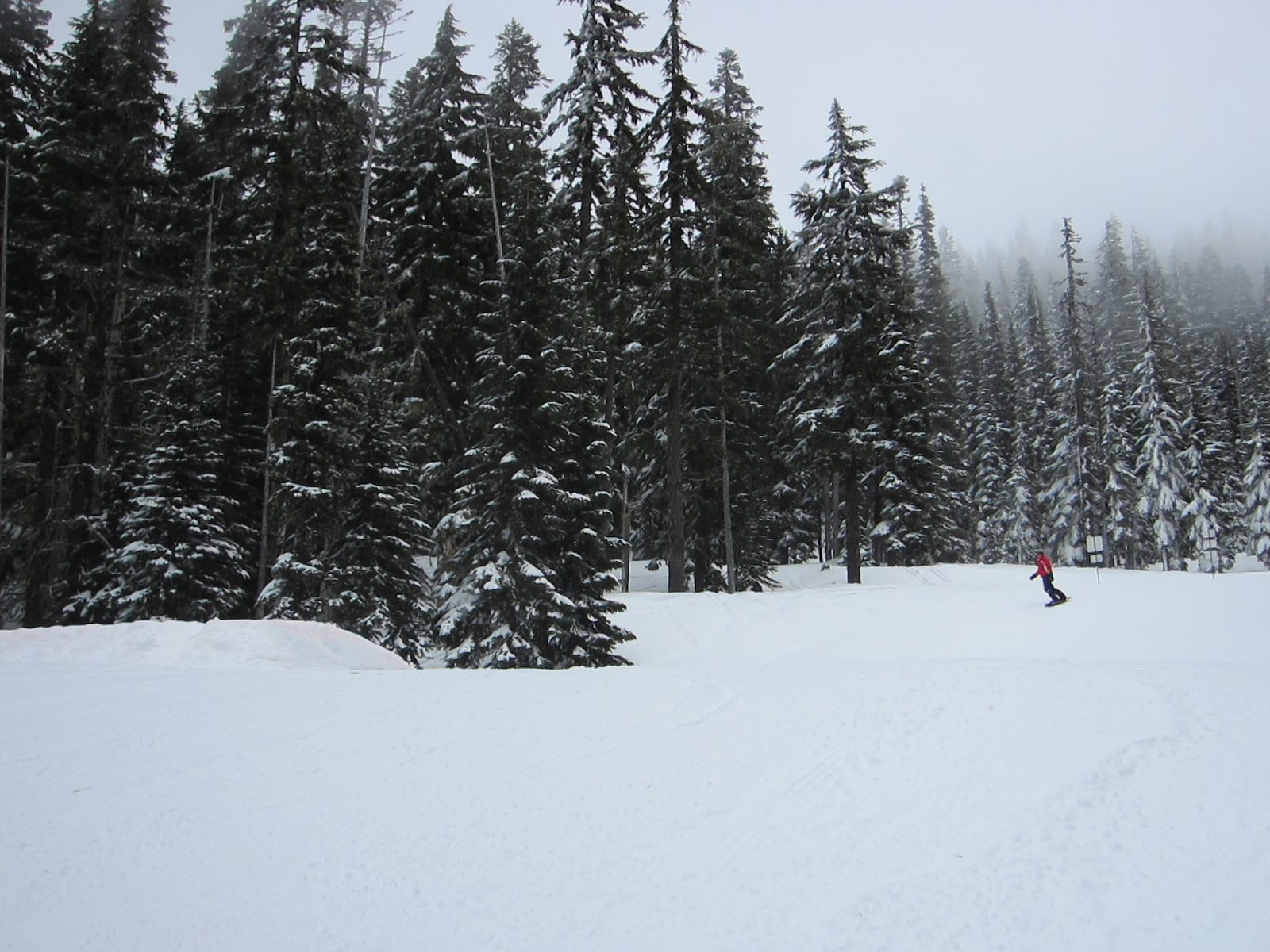 Diana on Ptarmigan, where White Pass had some jumps set up.