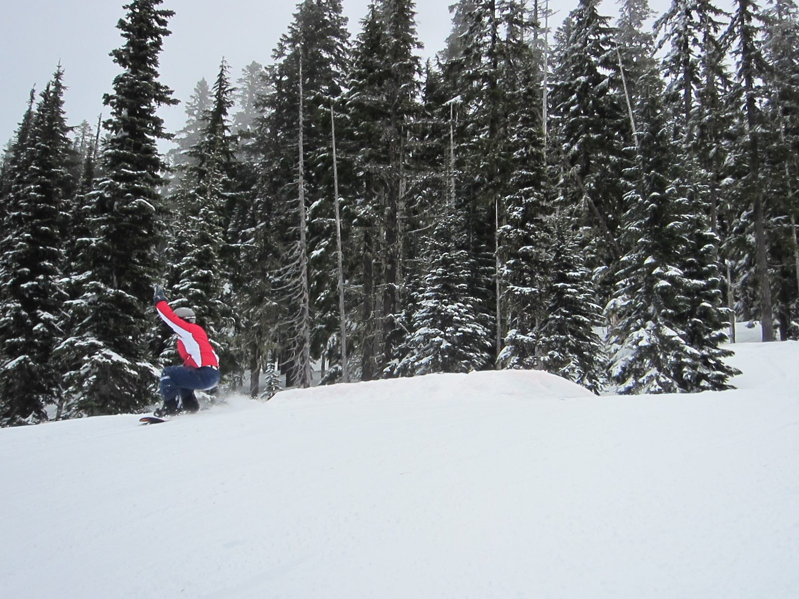 And almost landing.  Her butt hit pretty soon after this. D'oh!  At least she tried.