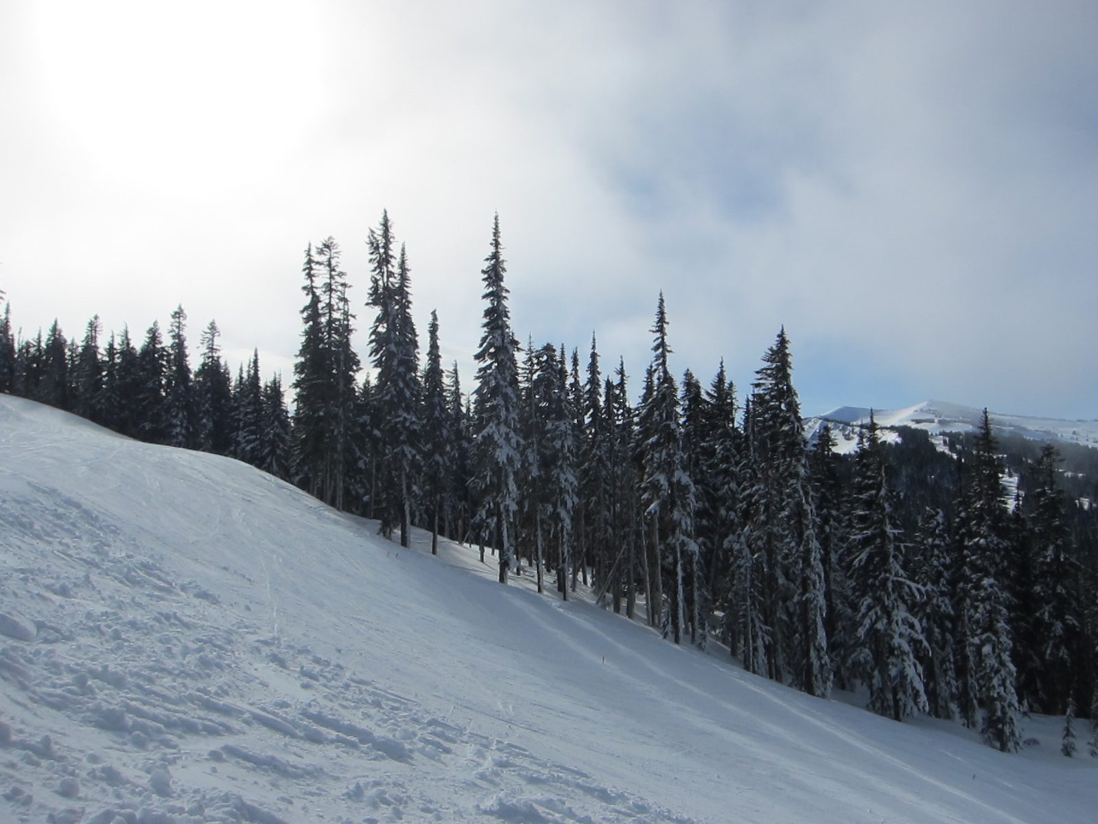 Looking across Paradise towards the back (new) area.