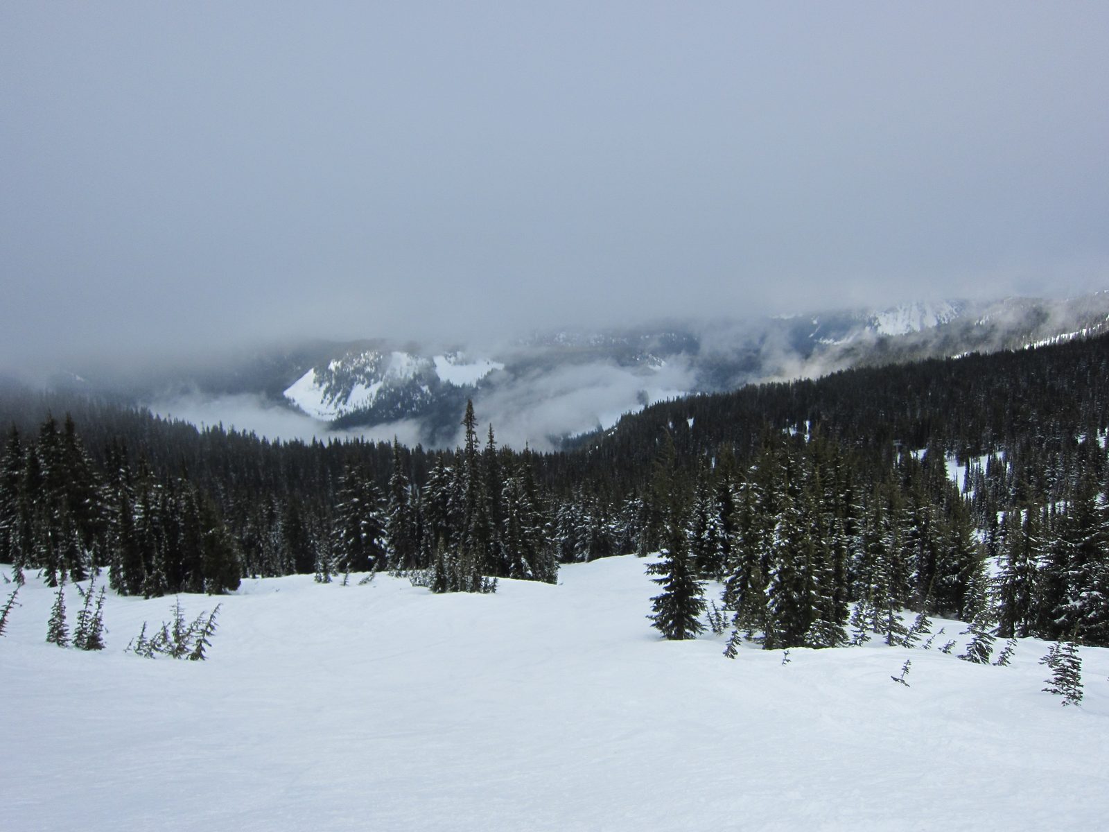 Looking down mountain on Out of the Lupin.