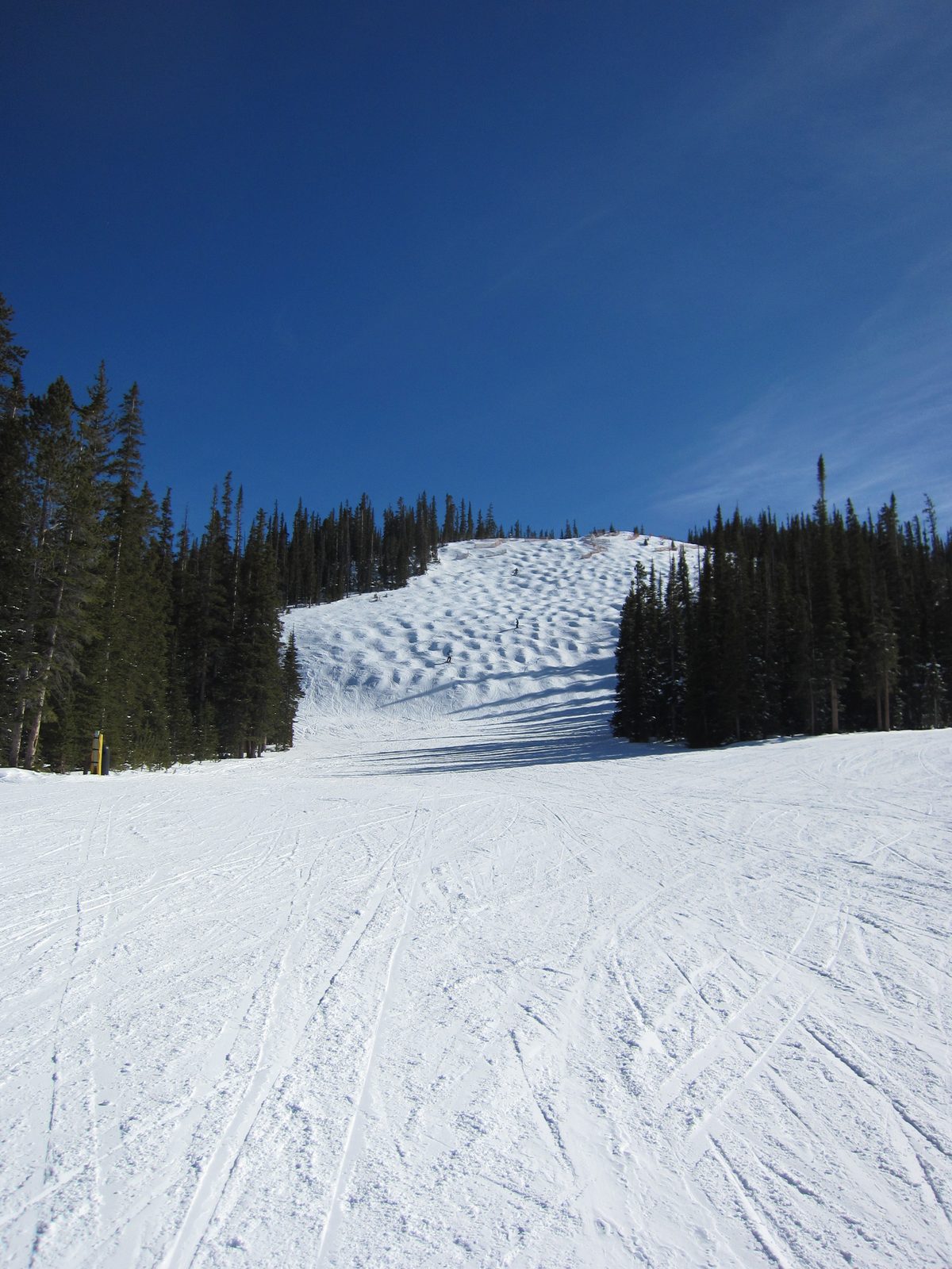 Daniel and I wanted to work on our mogul skills, so we hit this trail.  It took us some time to...