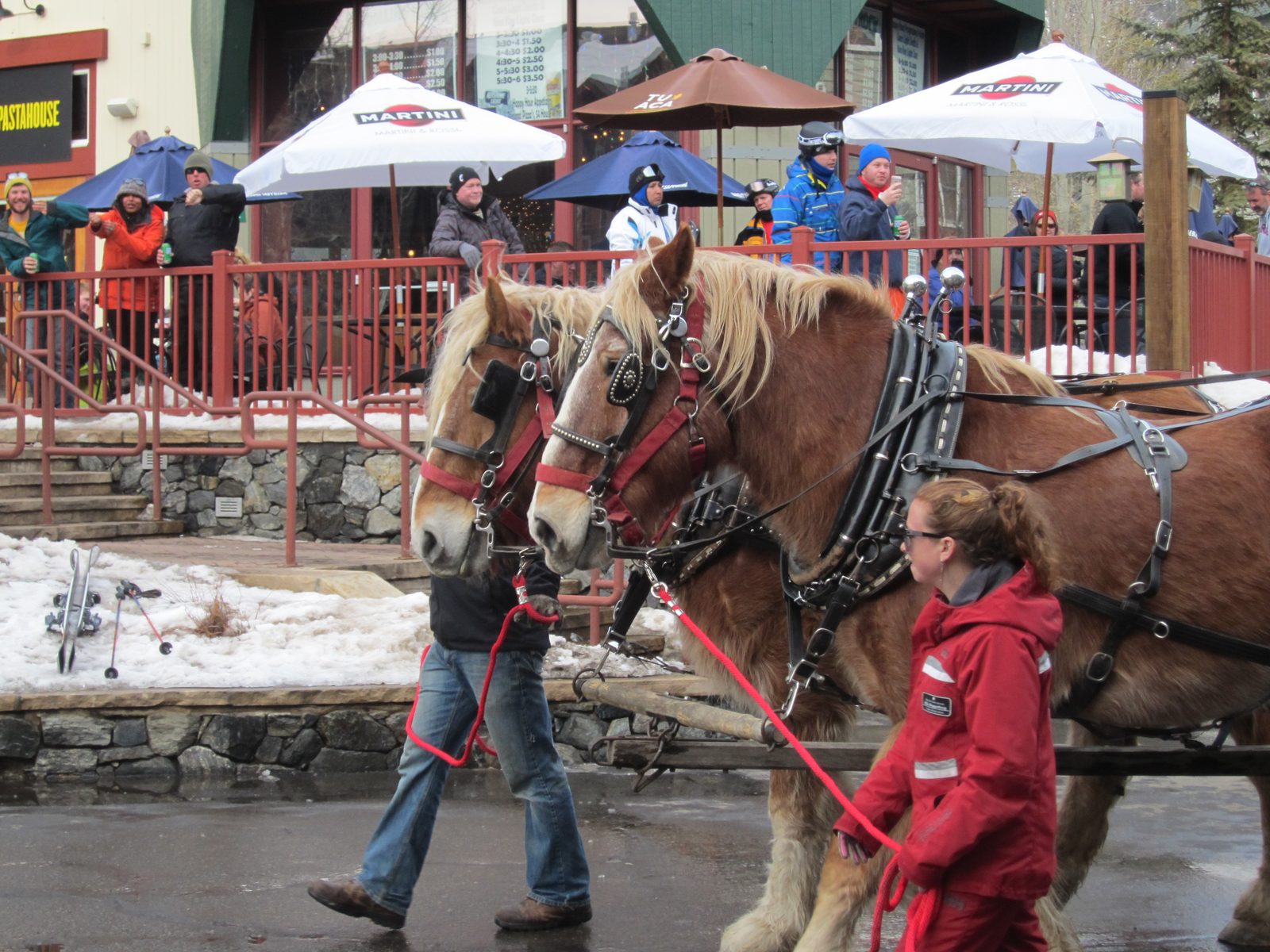 More horses!