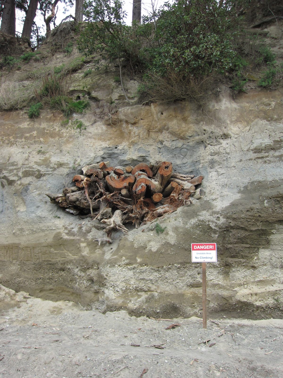 We had no idea what was going on here: the large bank had what looked like a pile of logs, or a...