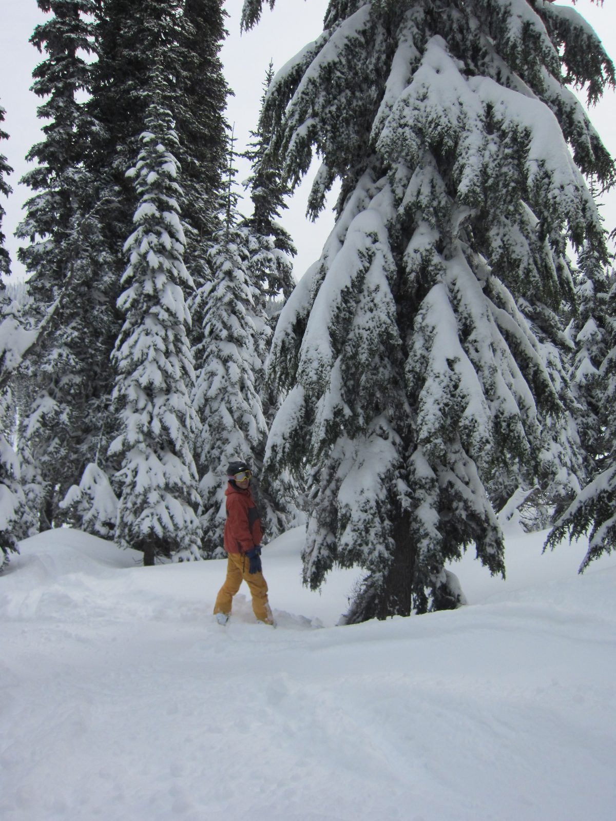 John exploring the trees skier's left off the top of the Couloir Express.
