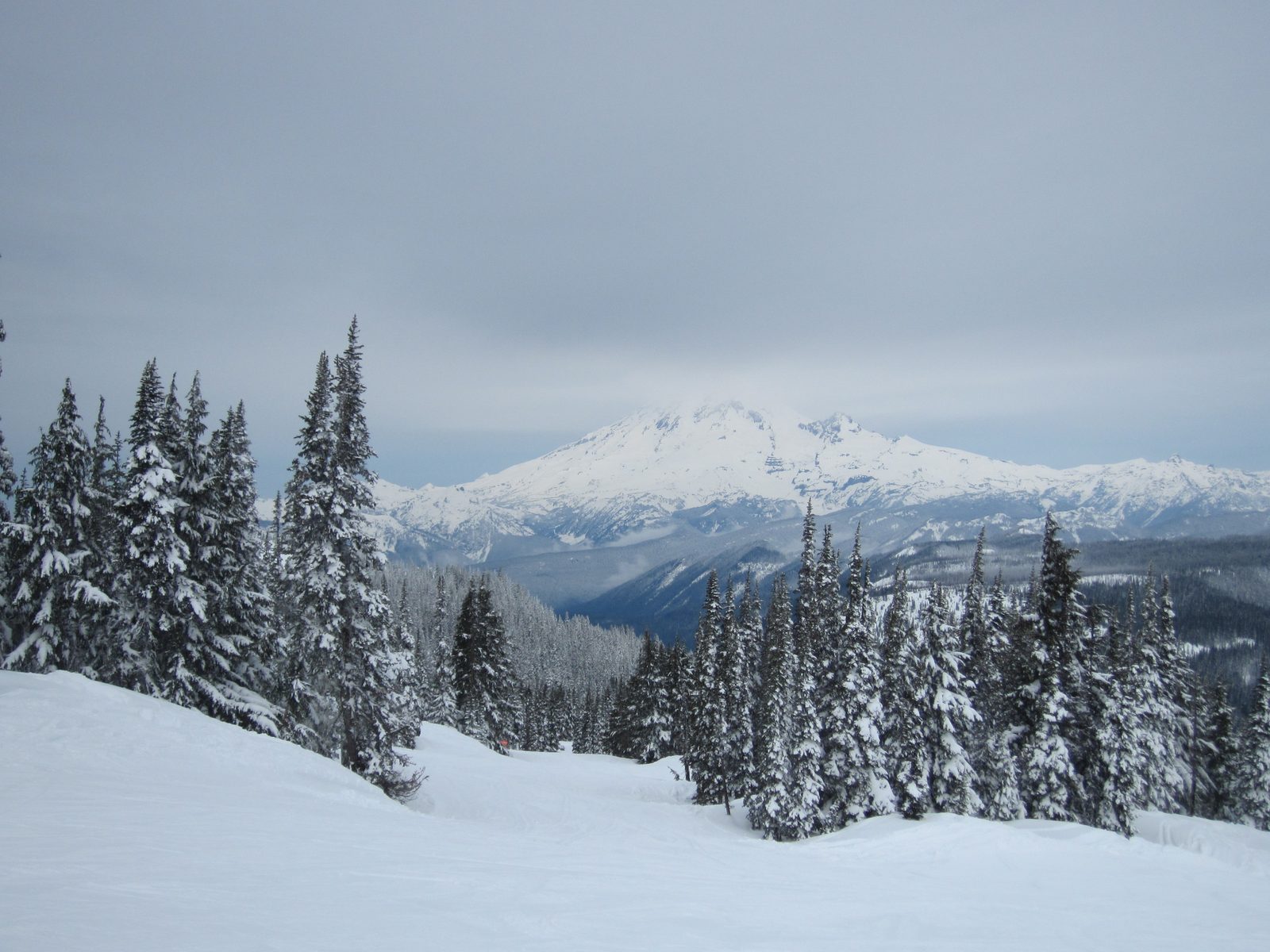 Mt Rainier becomes visible through the morning clouds.