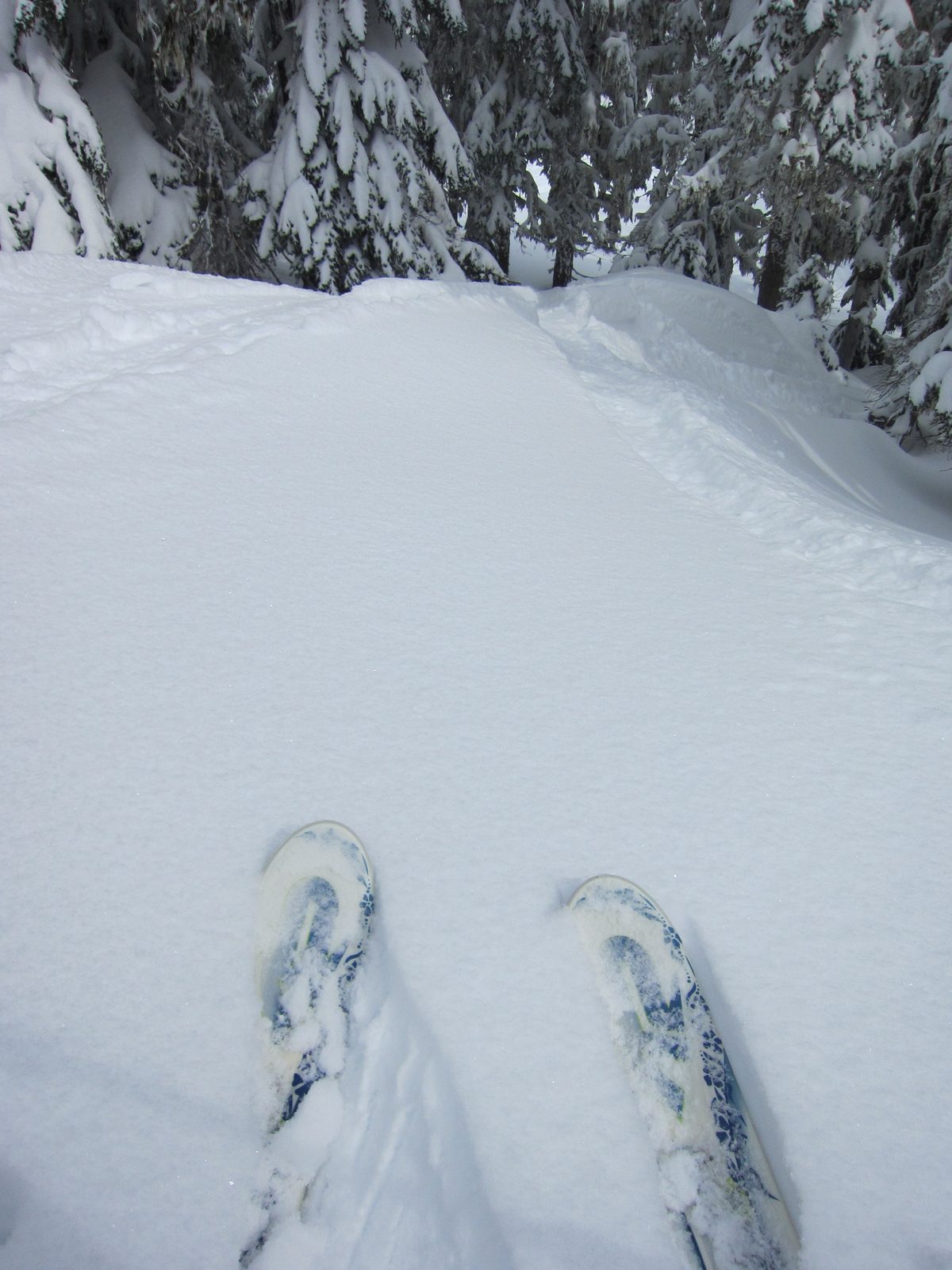 Pondering which route to take.  I kept a tracking program on on my phone most of the day, and...