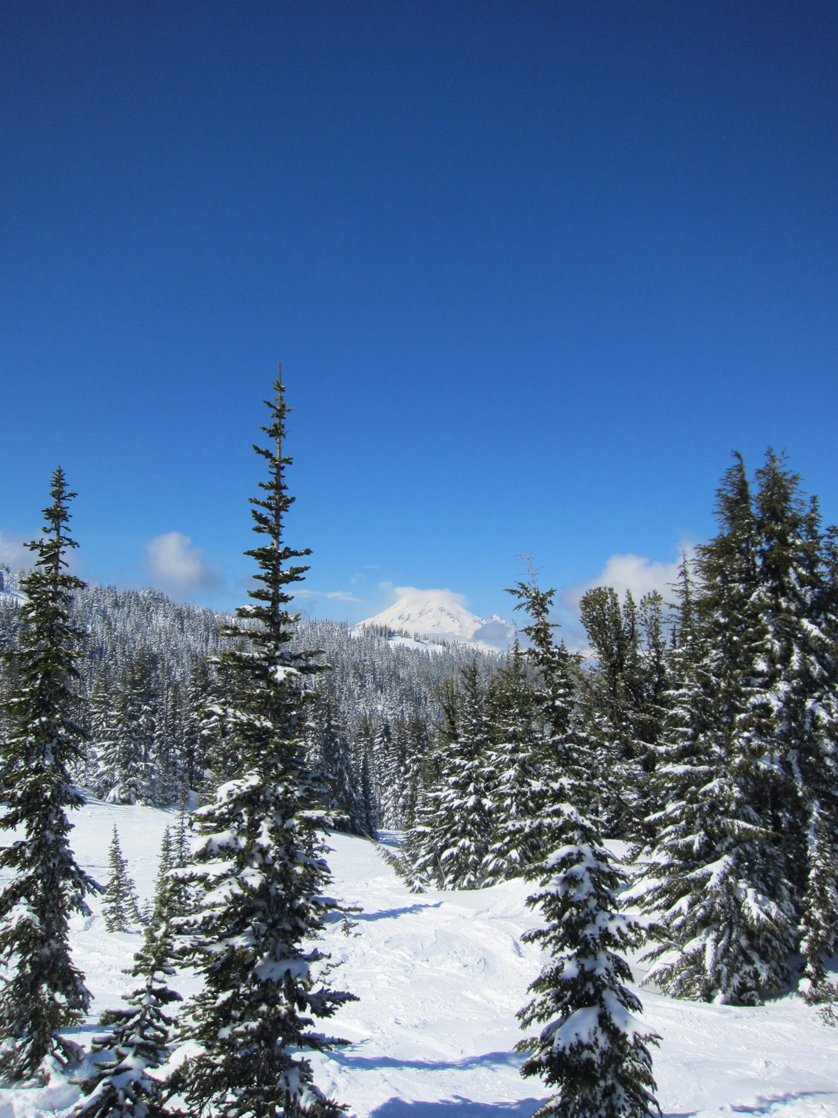 The clouds around the mountain never really fully cleared, but it was still a great view.