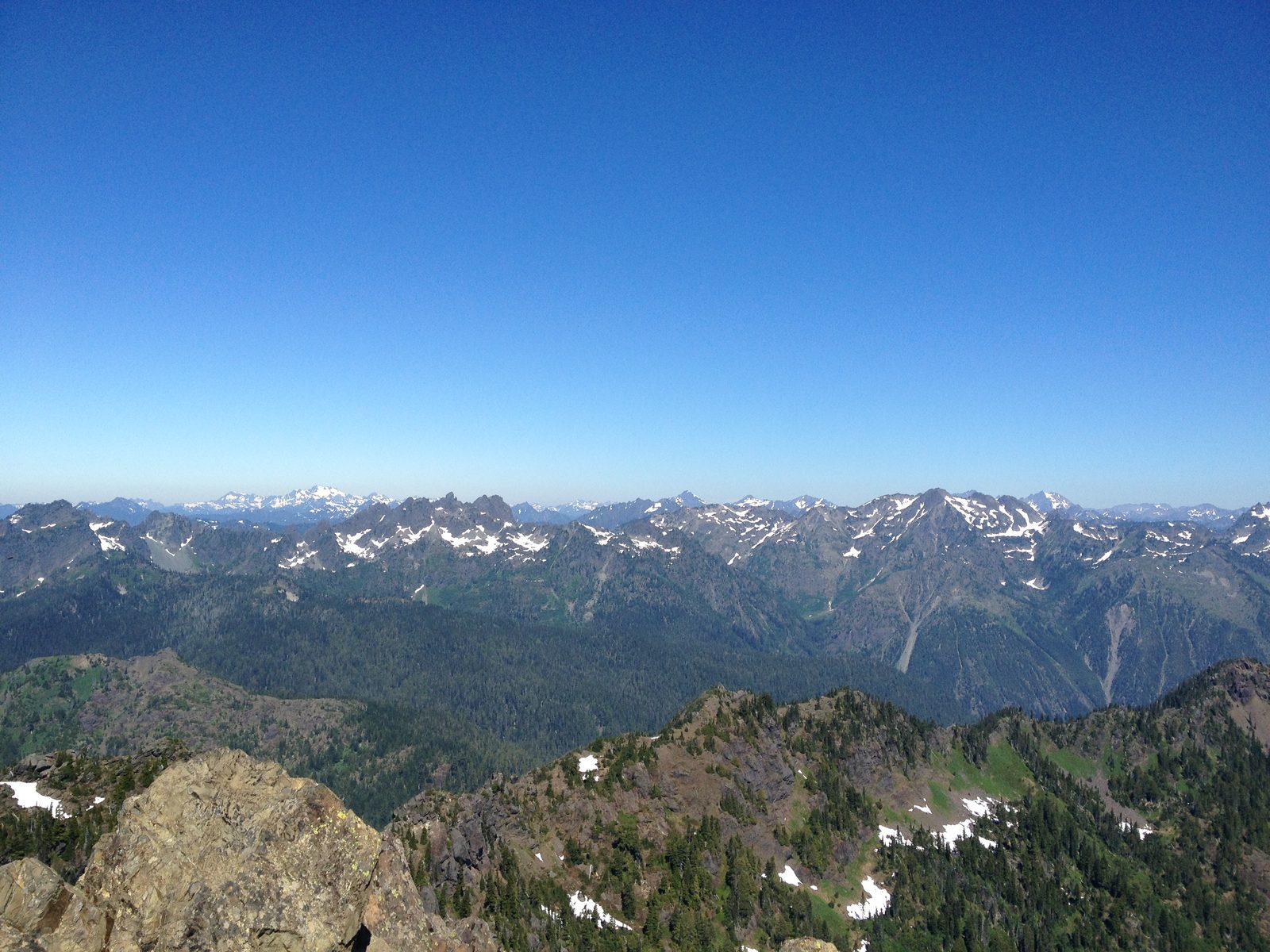 Looking out from the top of Mt Ellinor.