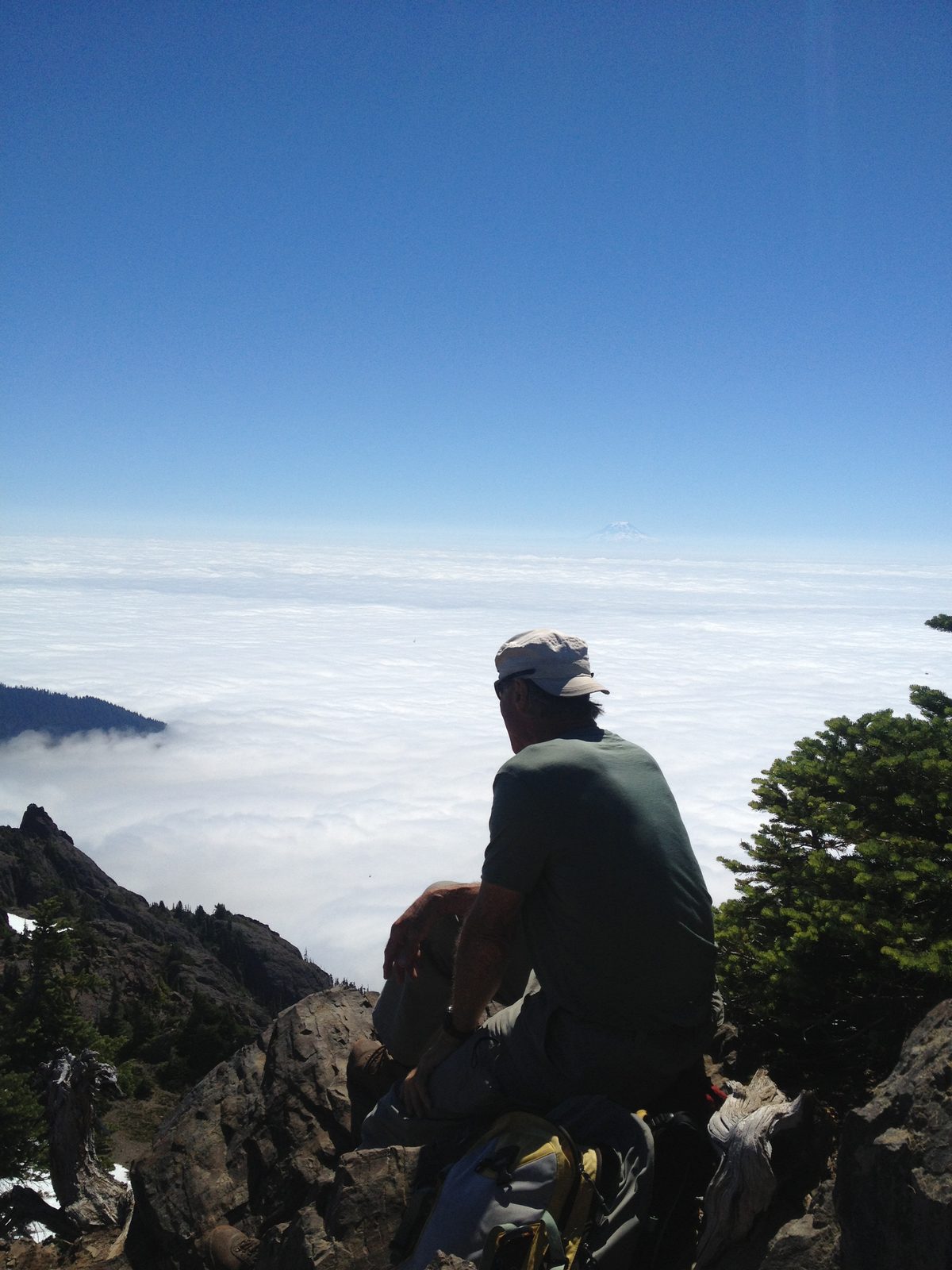Frank ponders the yonder.