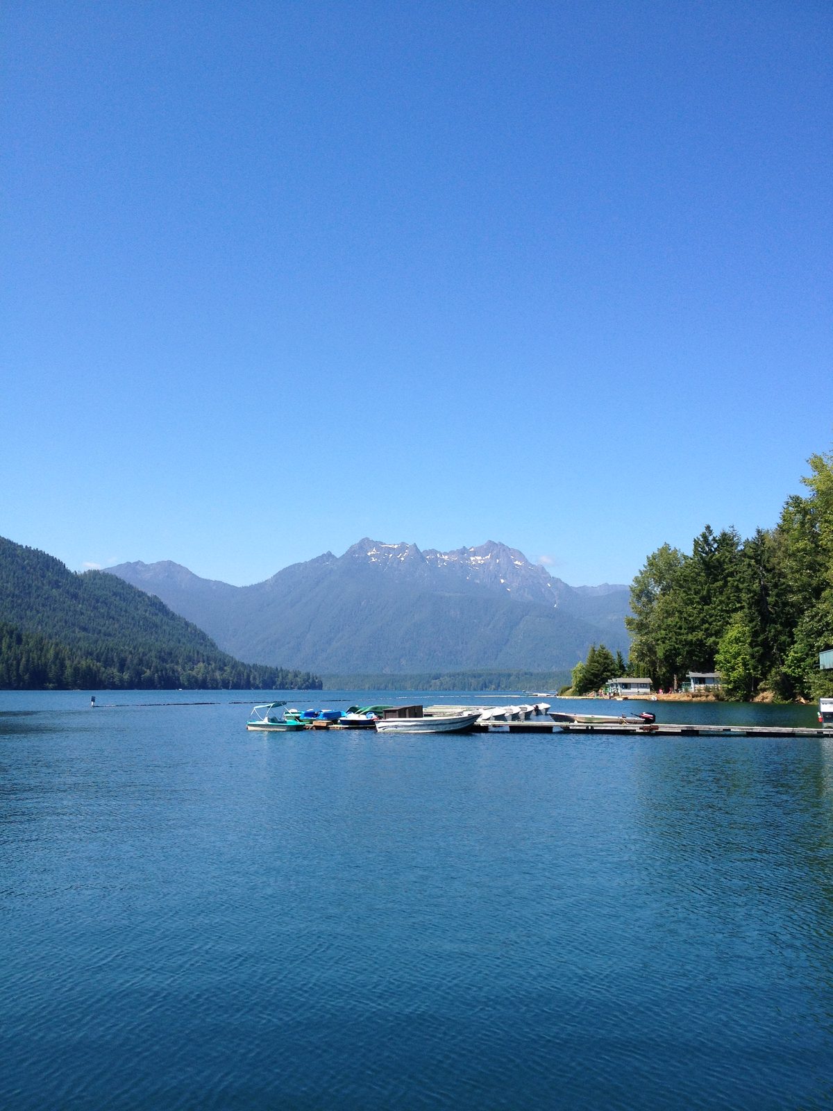 On our way back to town, we pulled off at the Lake Cushman Resort.  It deserves more time than...