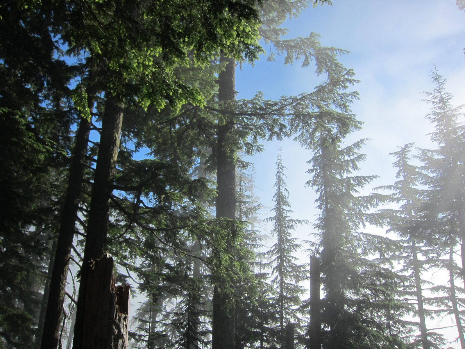 More hazy blue skies.
