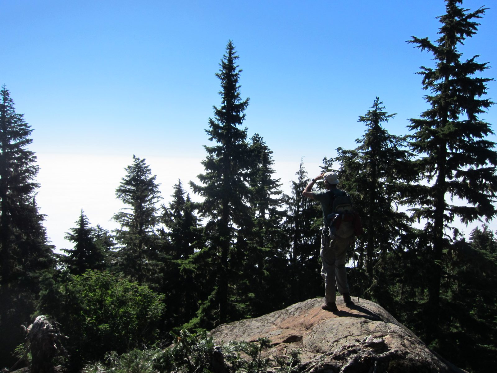 Frank looks down towards Hood Canal and Lake Cushman.  Neither are exactly visible through the clouds.