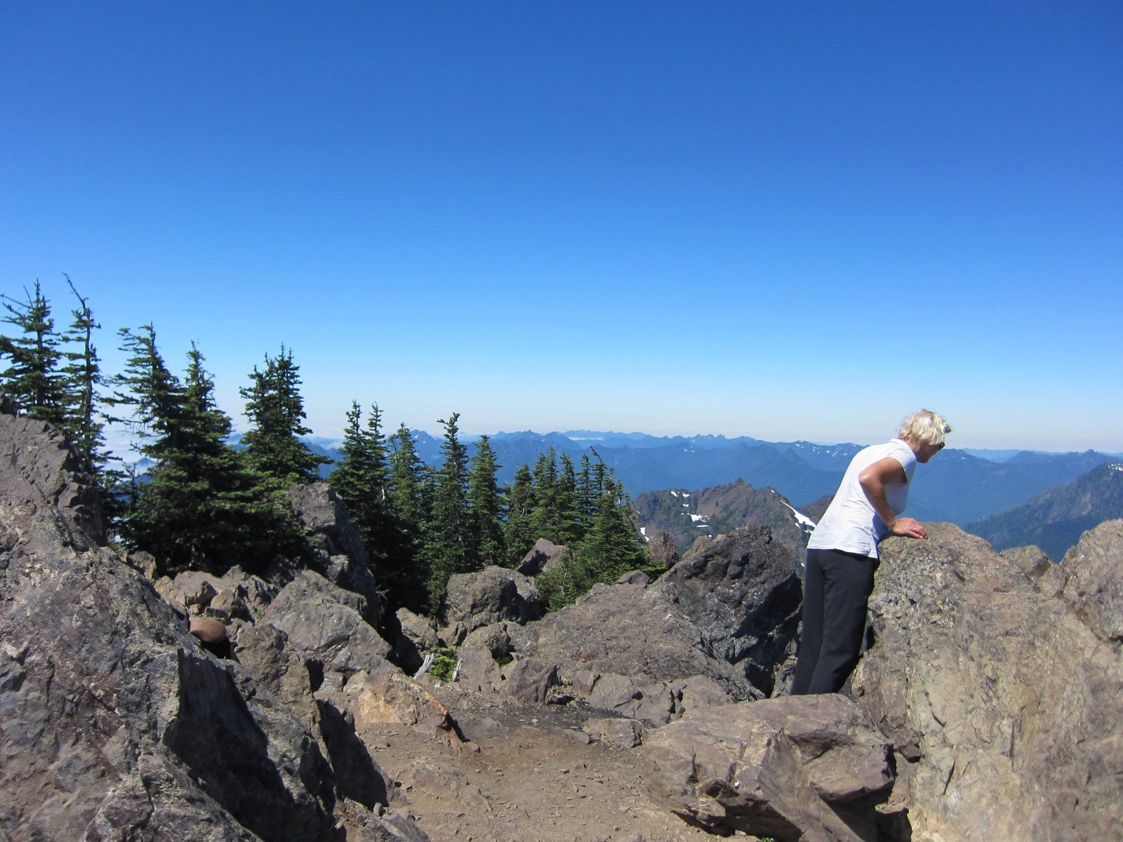 Kathie looks for goats.