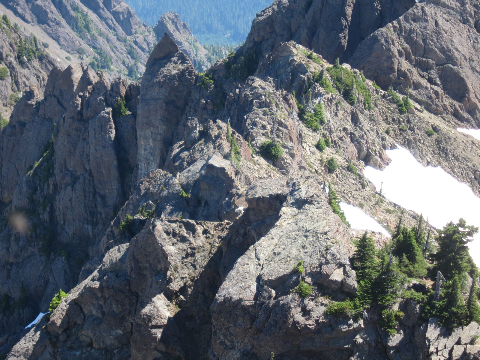 And there's another, in the middle of the shot near a rock.