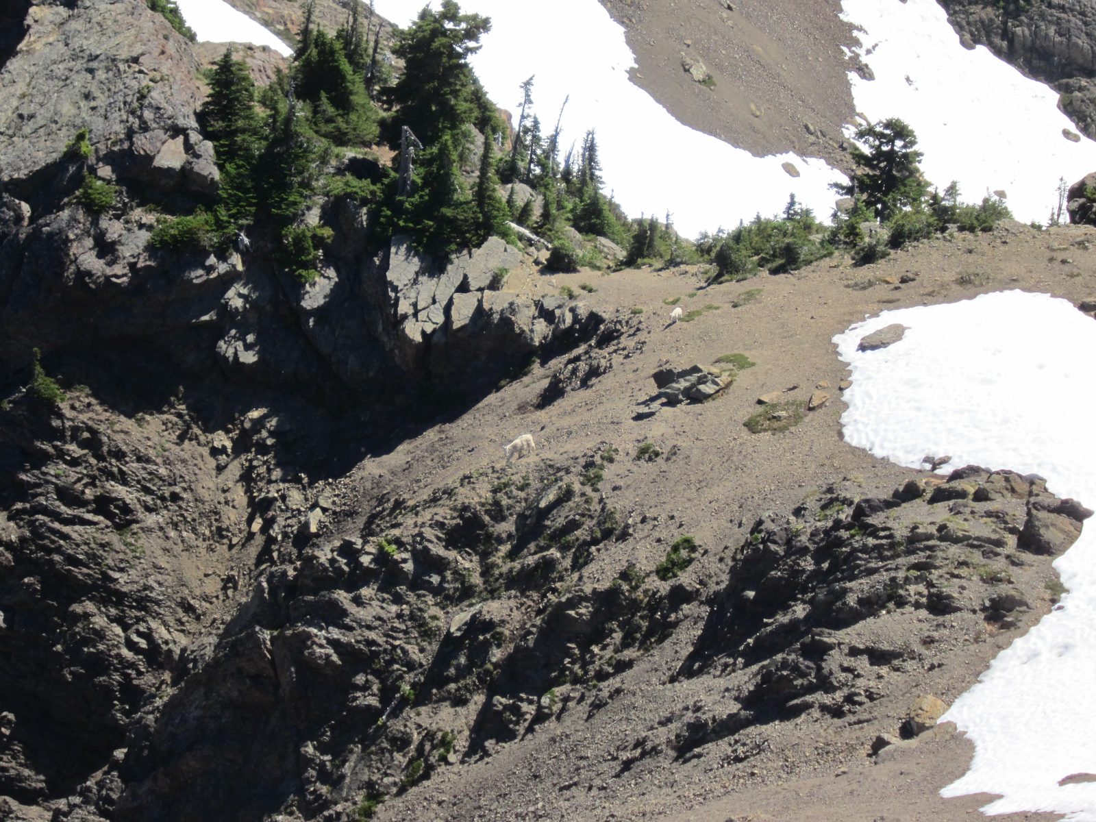 ... Mama checks out the edge... 