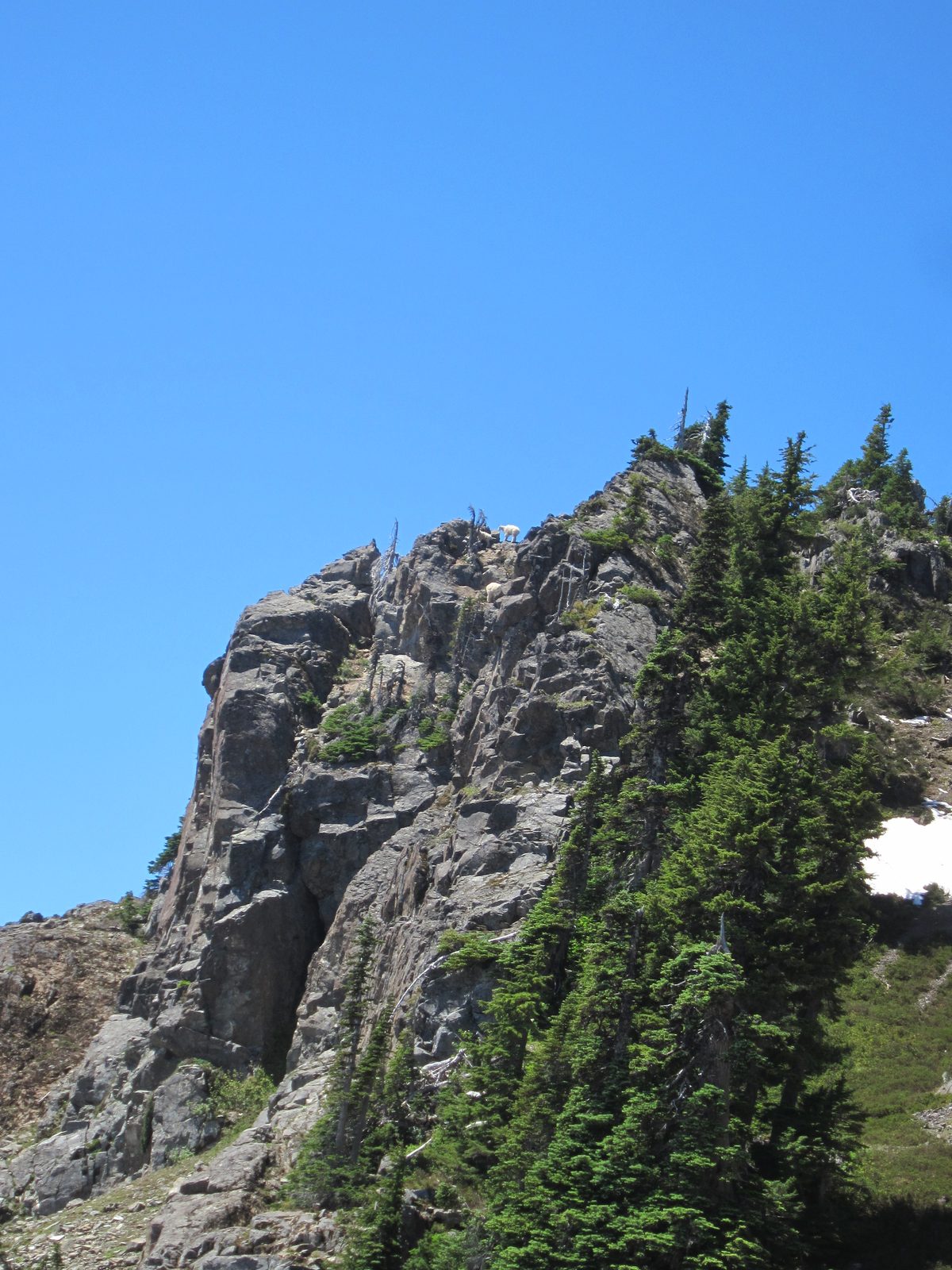 Once at the top, they basically just looked down at us and our two feet and laughed.