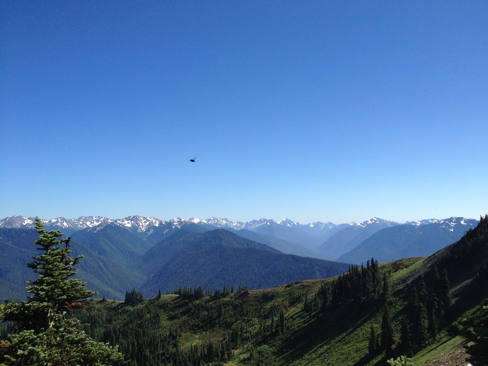 From the top of Sunrise Point. With giant fly (the bugs were kind of annoying).