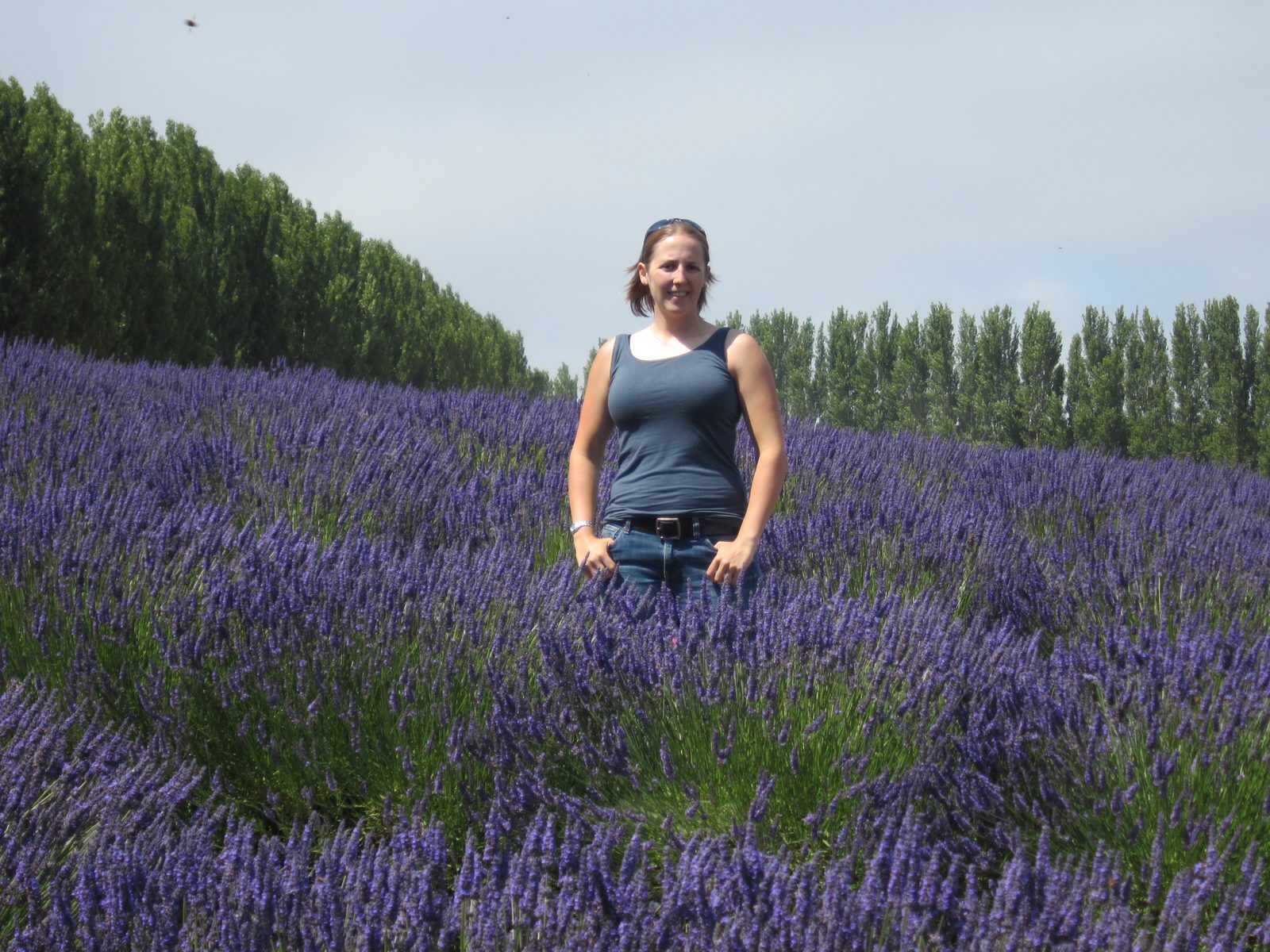 Catherine (and a bee) amongst the lavender.