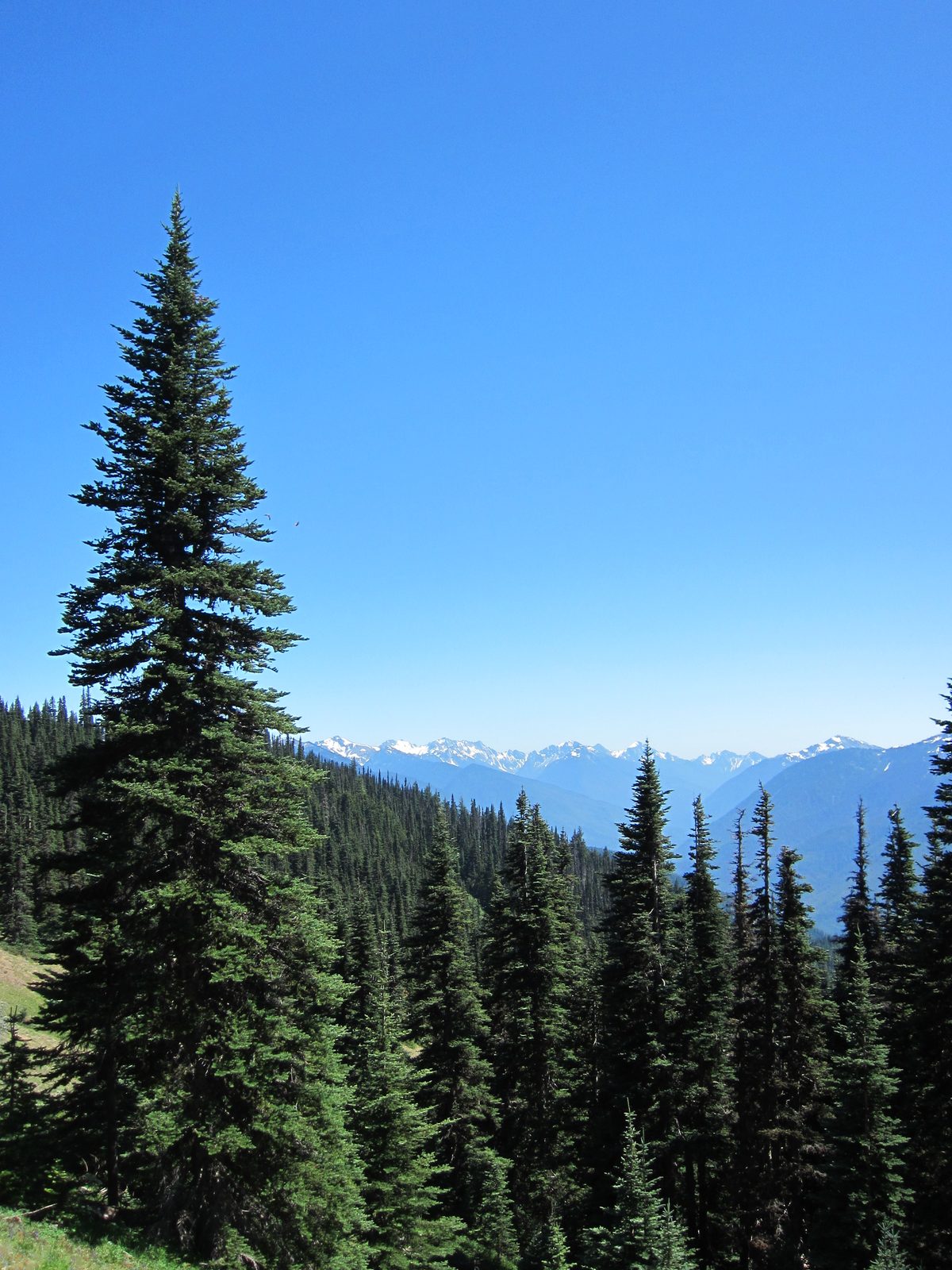 Looking out at more mountains.