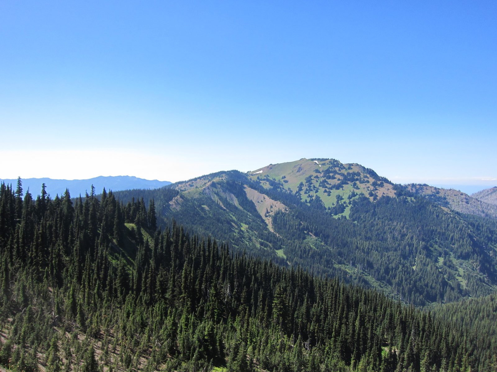 The previous photos were taken from the trail visible on the middle hill in the near distance. ...