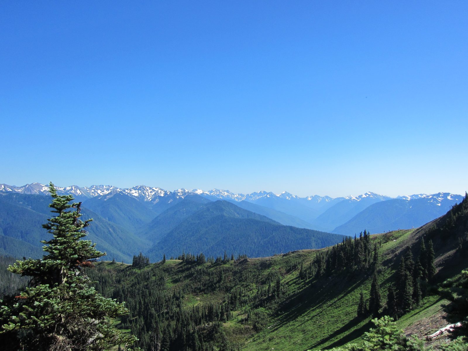The main canyon on the right is, I believe, where the Elwha River runs (and where the Elwha Dam...