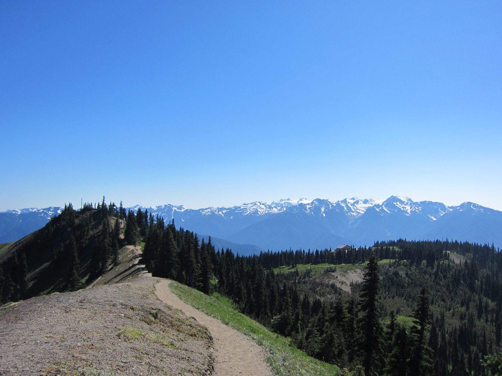 The photo of the High Ridge Trail was taken from just above that gray spot on the hill facing. ...