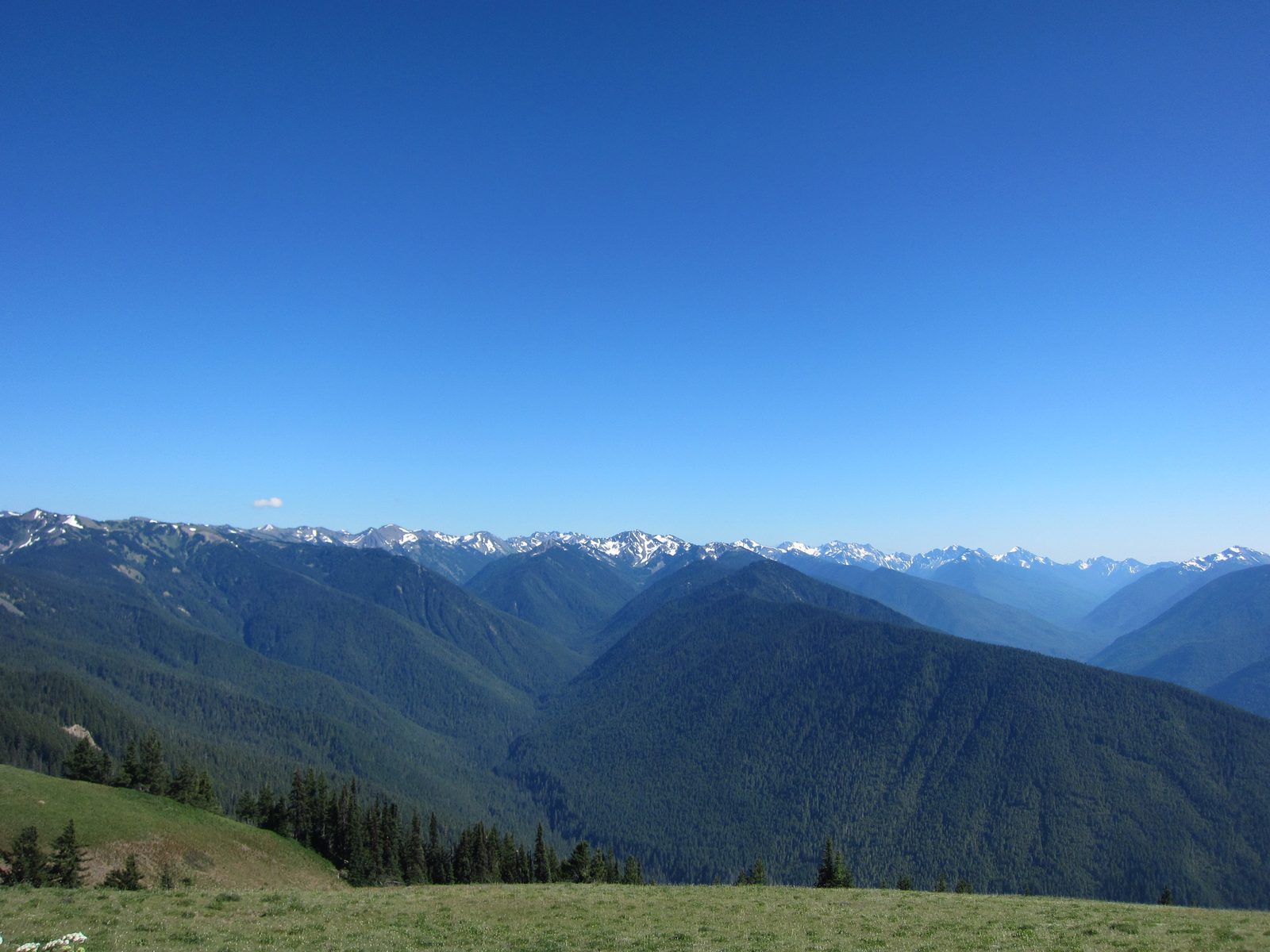 Left, Lillian River valley.
