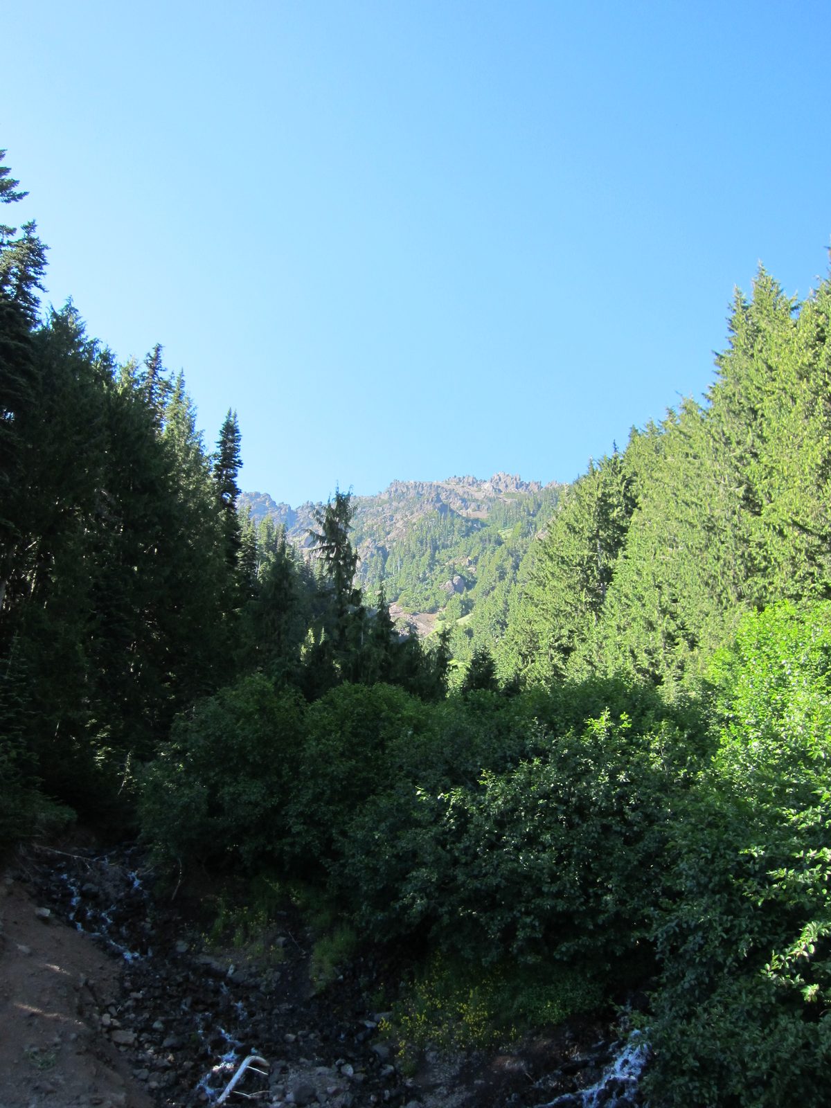 Looking up the canyon at the Switchback Trail head.