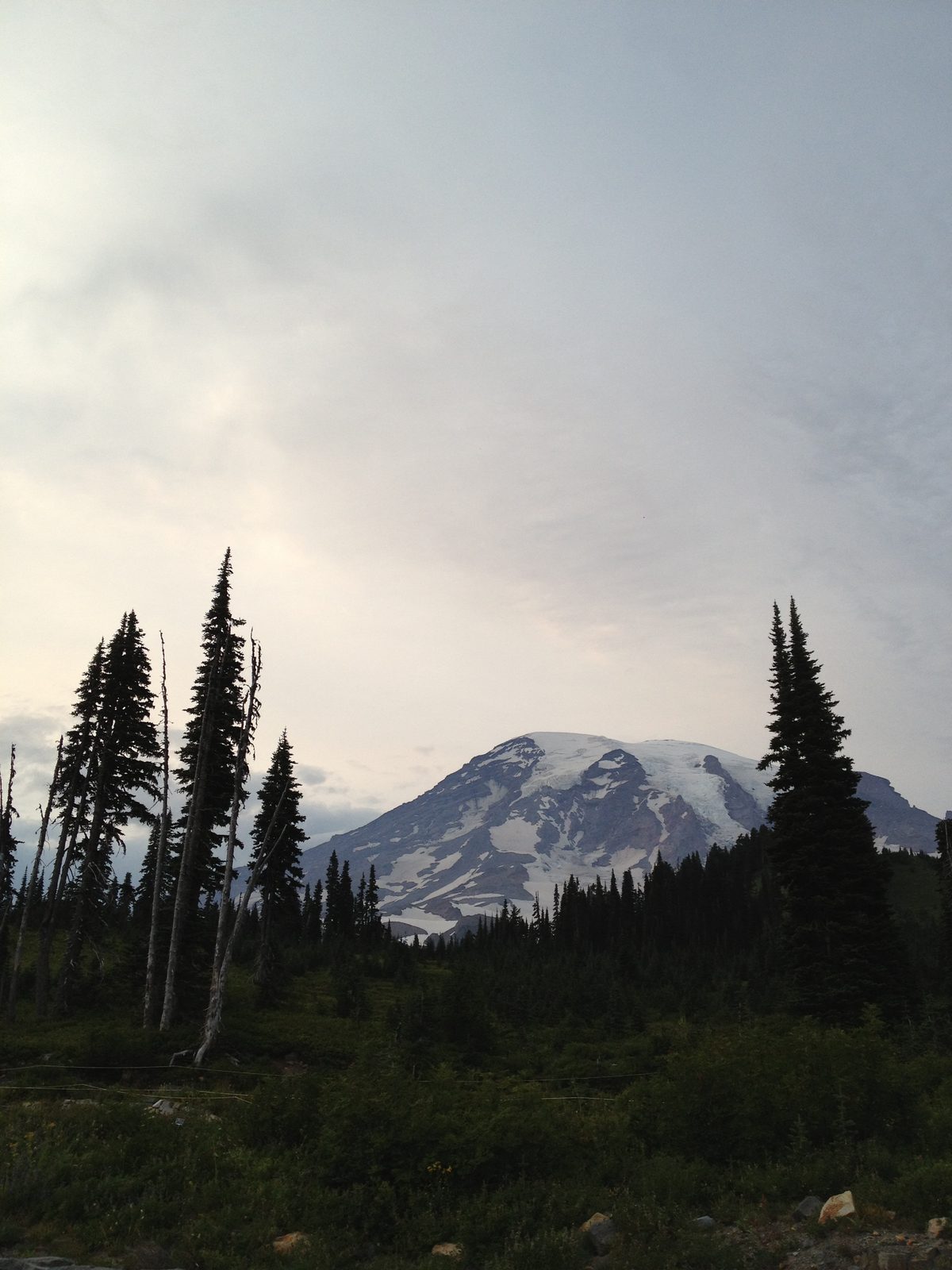 Mt Rainier from the Paradise Inn. Clouds were definitely rolling in and we hoped they'd roll...