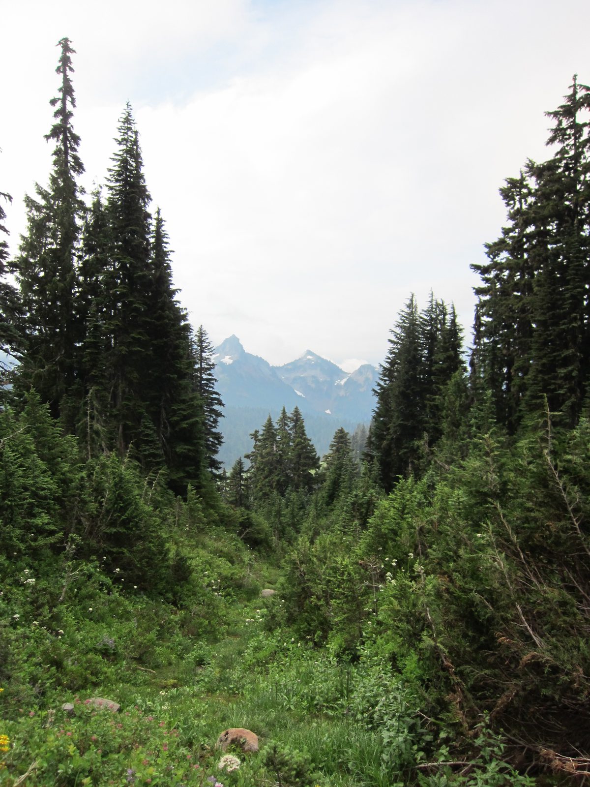 Fortunately, the view away from the mountain was clearer and pretty.