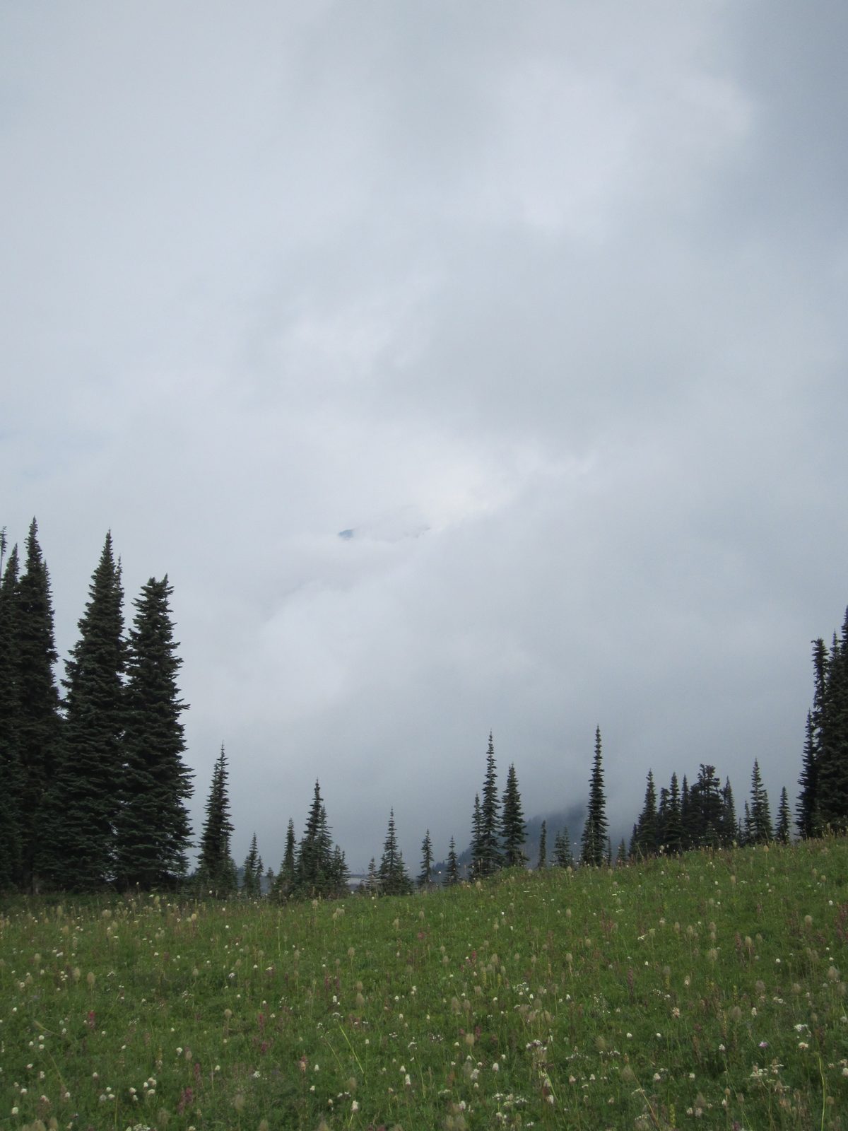I turned back to see how far the blue had reached Rainier. It hadn't. Or had it? I see one spot...