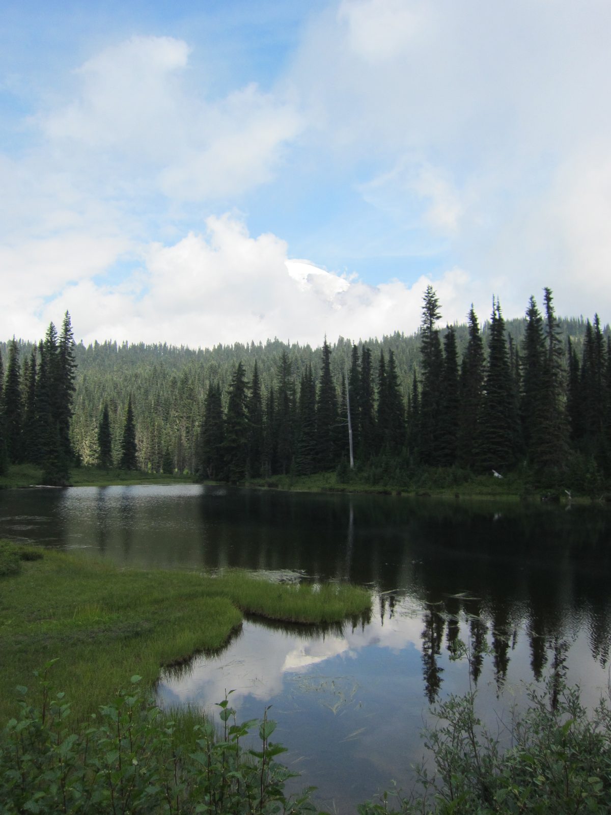 Of course, they hope and wait for clearer skies and calmer waters.