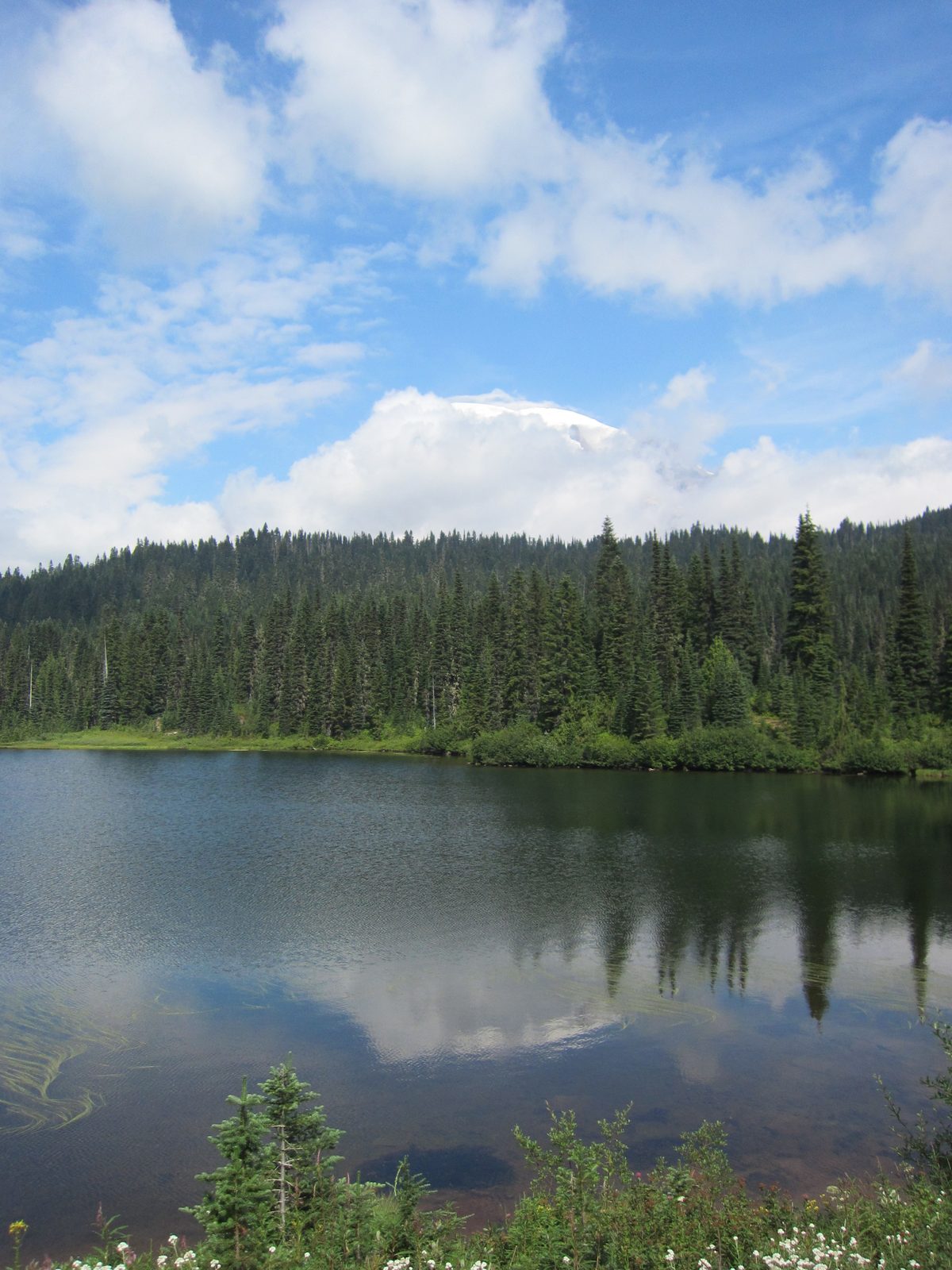 But I was happy with what I could capture (yes, that is Rainier barely visible above the cloud...