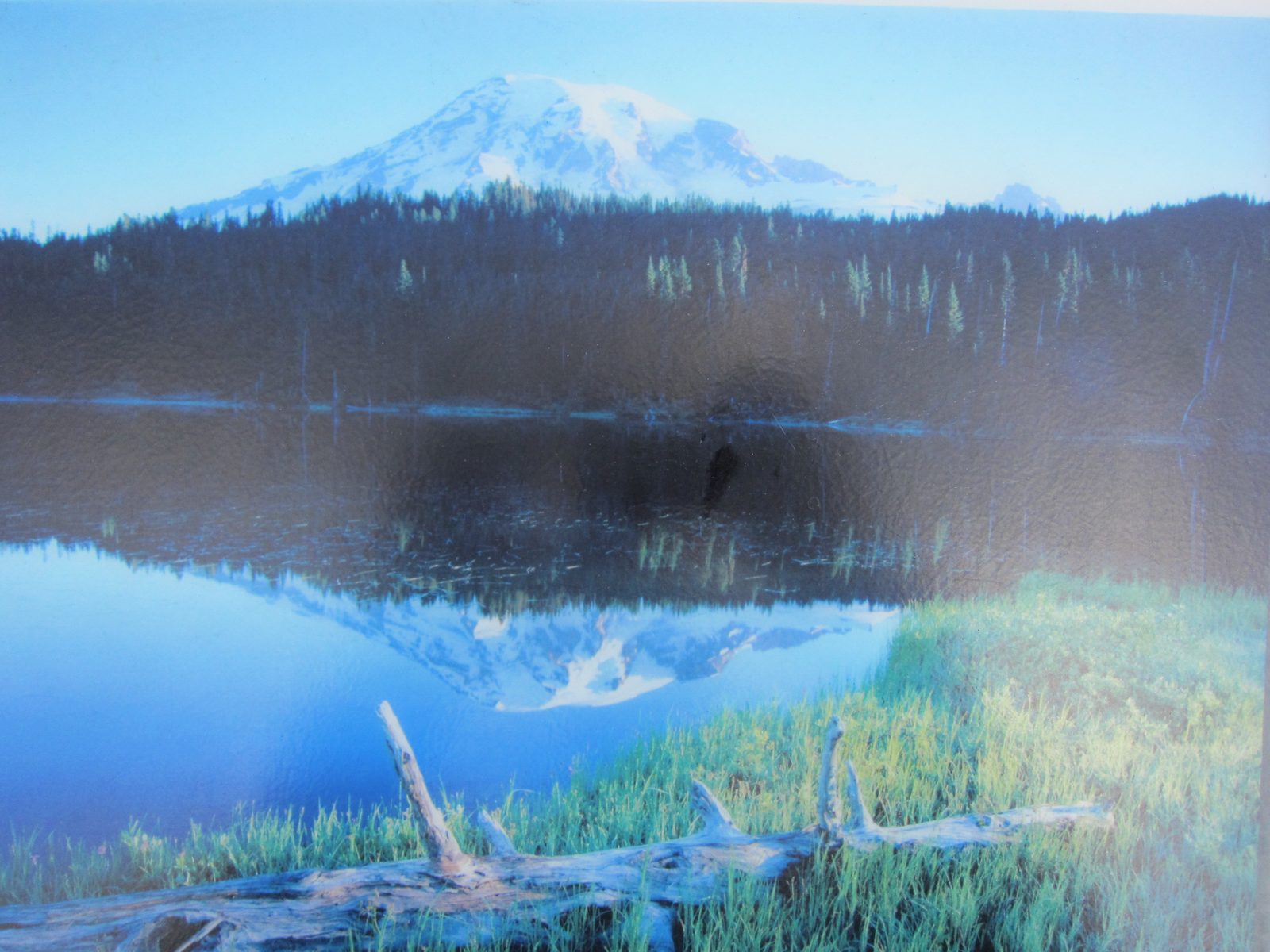 And then it all cleared and I got this shot!  Okay, I didn't; this is a photo of a photo on a...